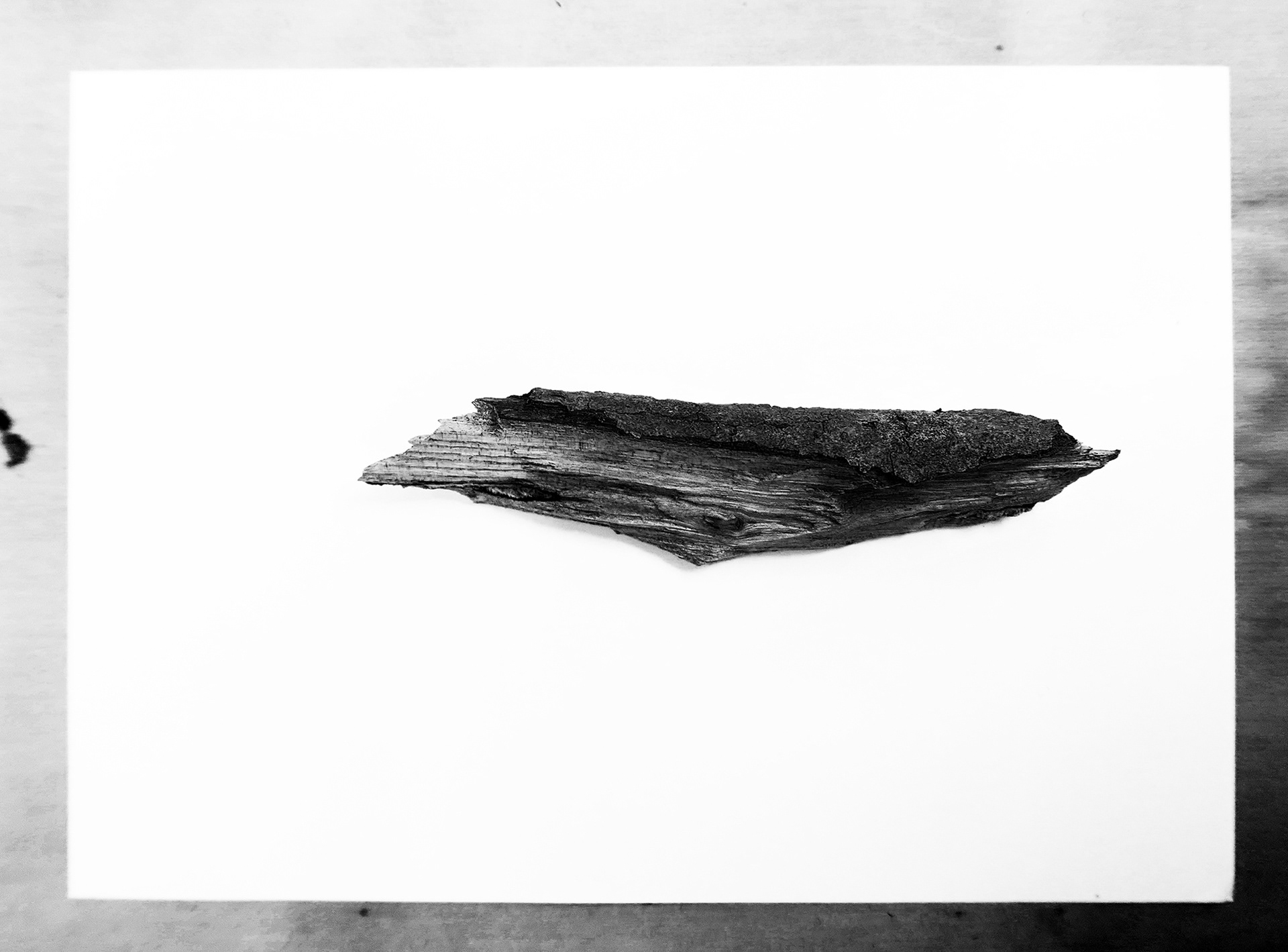 fridge celebrates loneliness . HKU . Utrecht (NL)