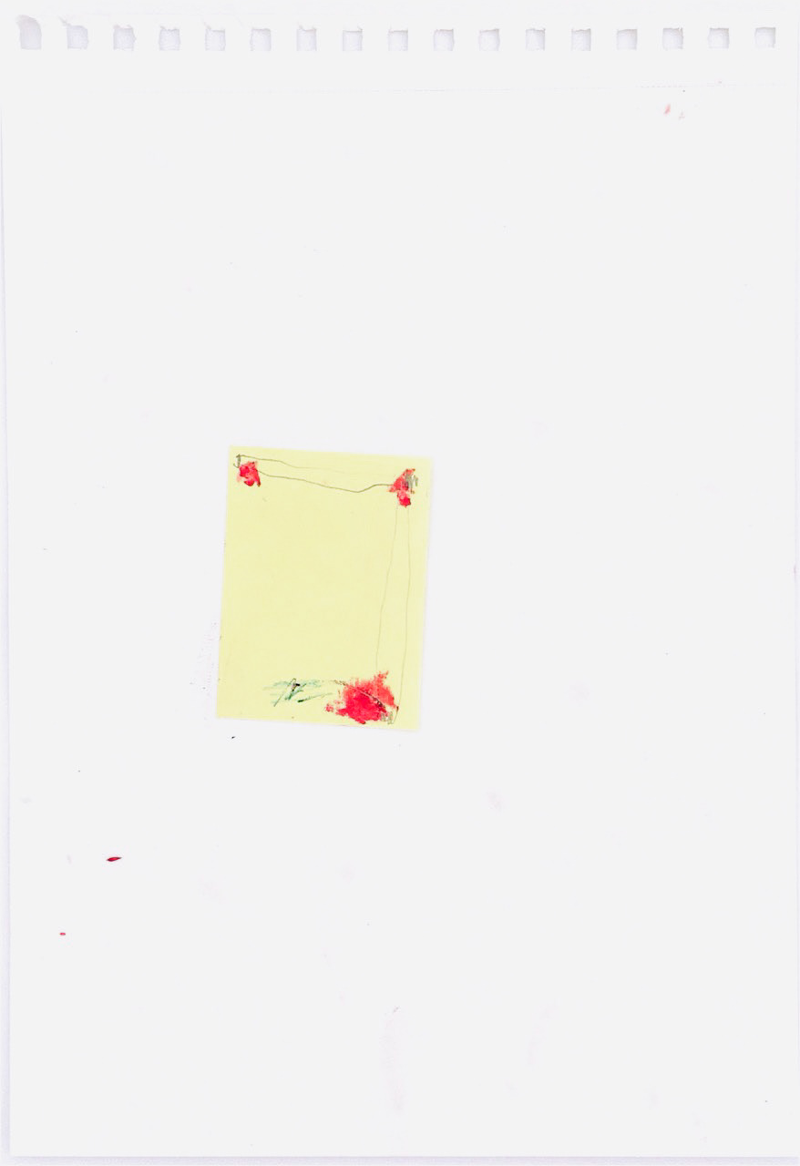 ( s ) h e . Ericeira (PT)