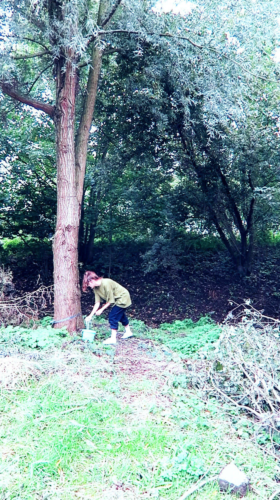 fridge celebrates loneliness . HKU . Utrecht (NL)