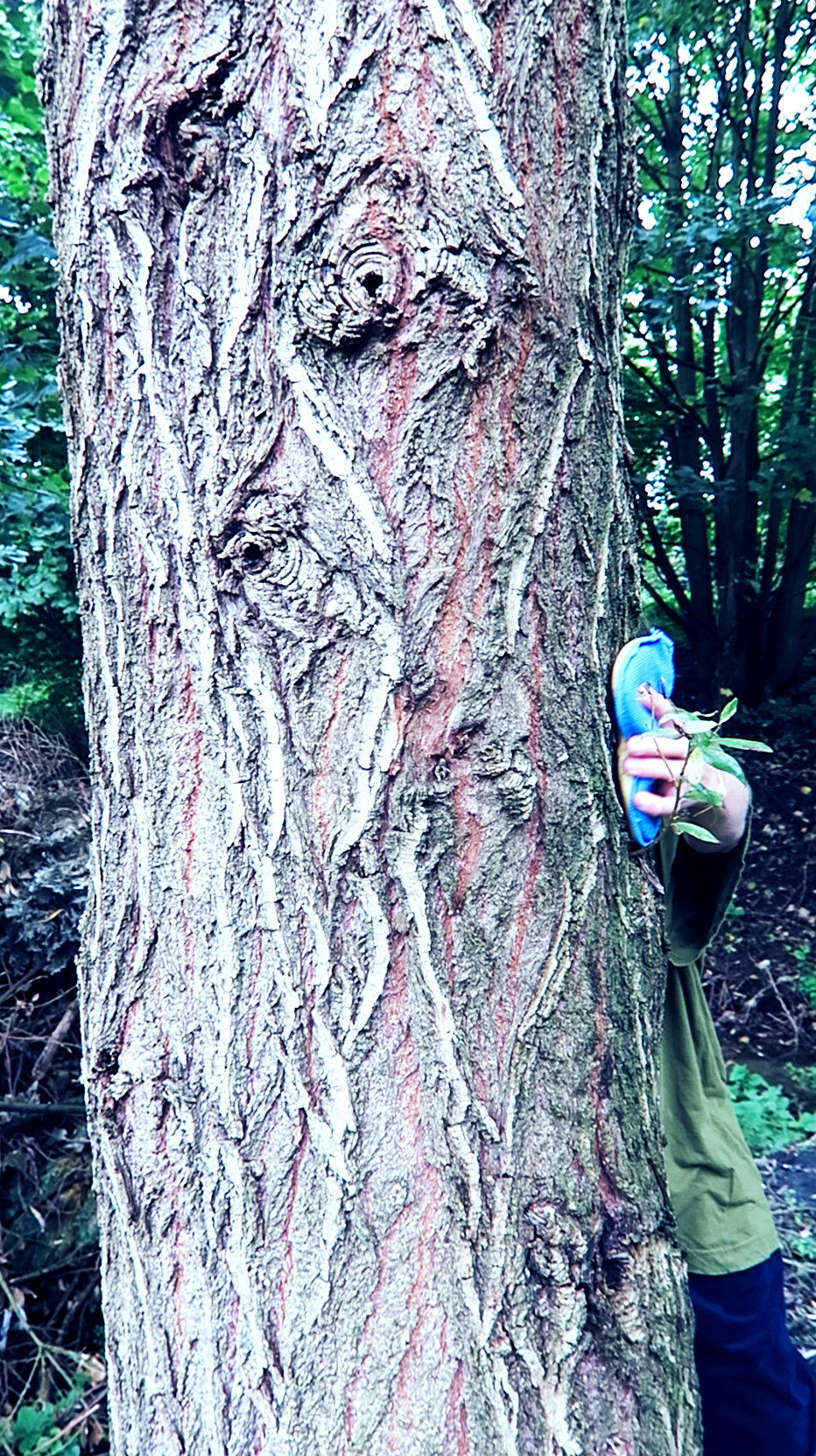 fridge celebrates loneliness . HKU . Utrecht (NL)