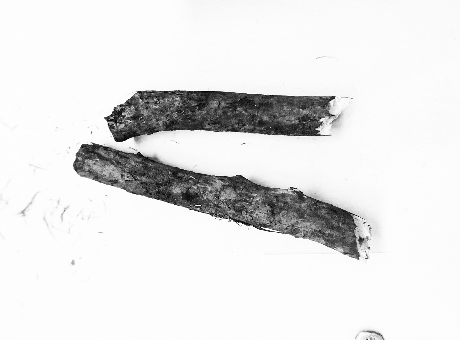 fridge celebrates loneliness . HKU . Utrecht (NL)