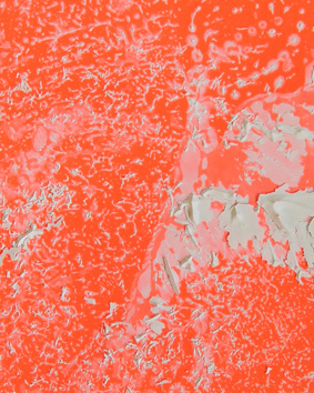 niet mijn type . masterclass . Frans Masereel Centrum . Kasterlee (B)