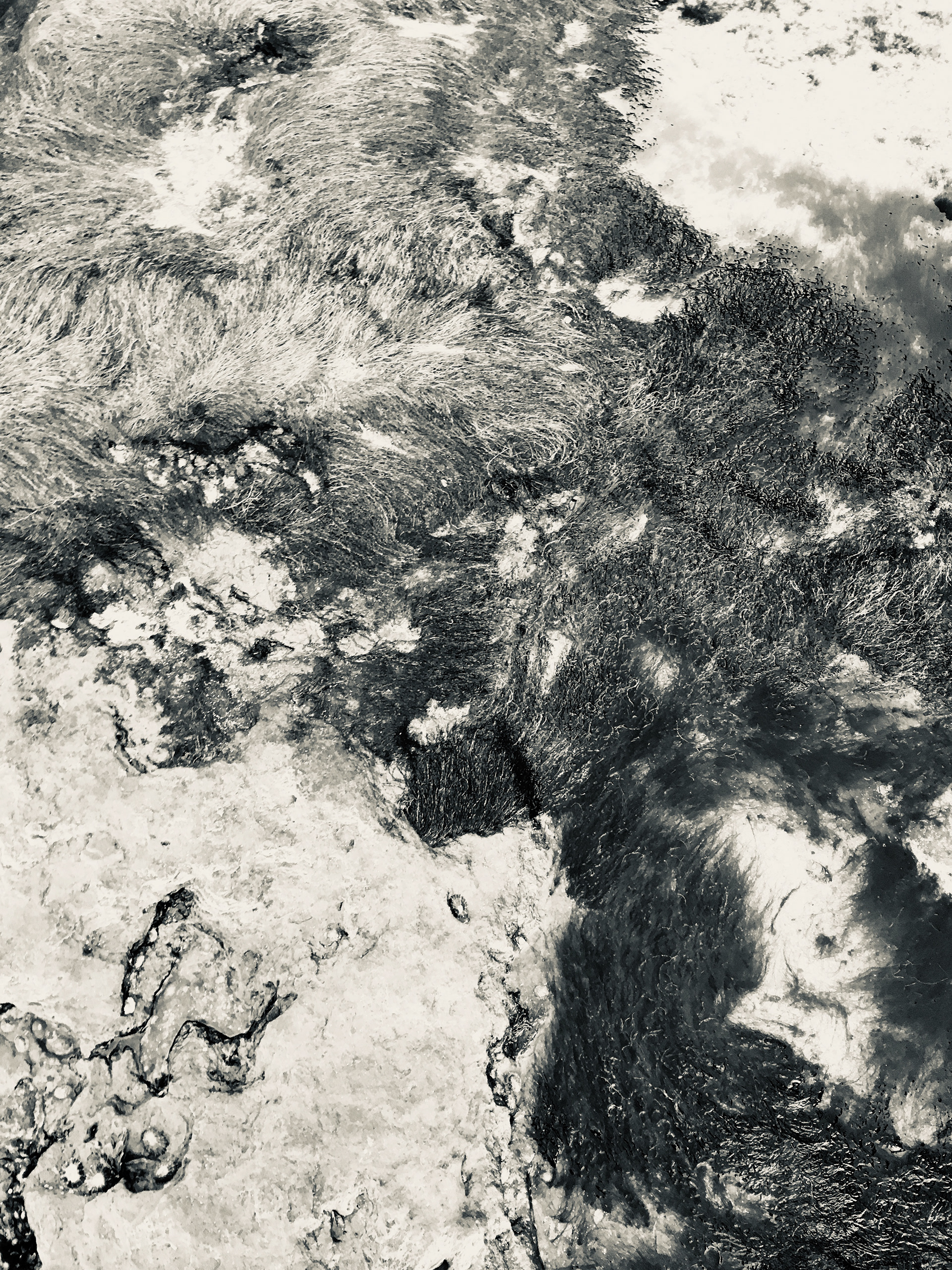 ( s ) h e . Ericeira (PT)