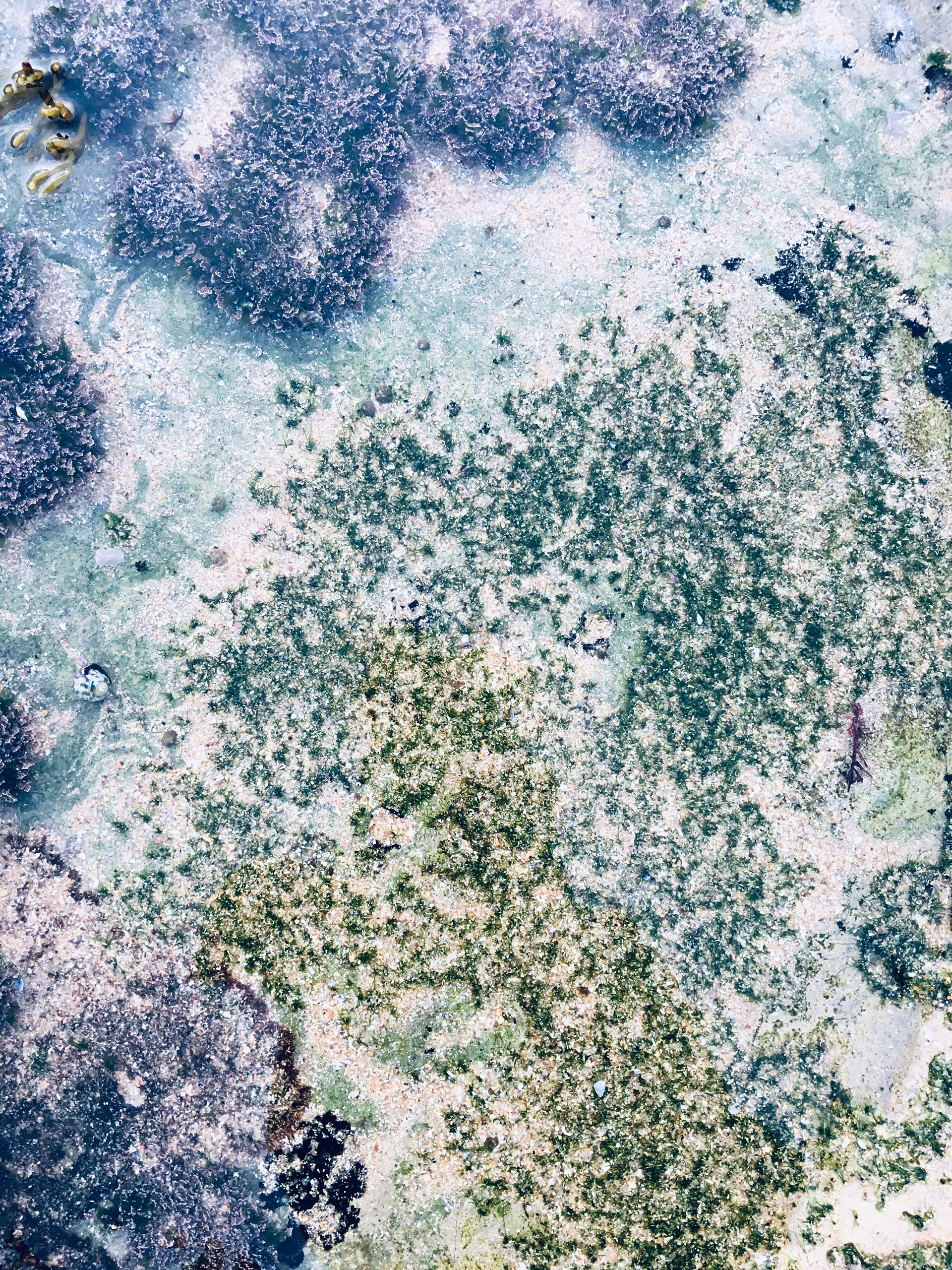 ( s ) h e . Ericeira (PT)