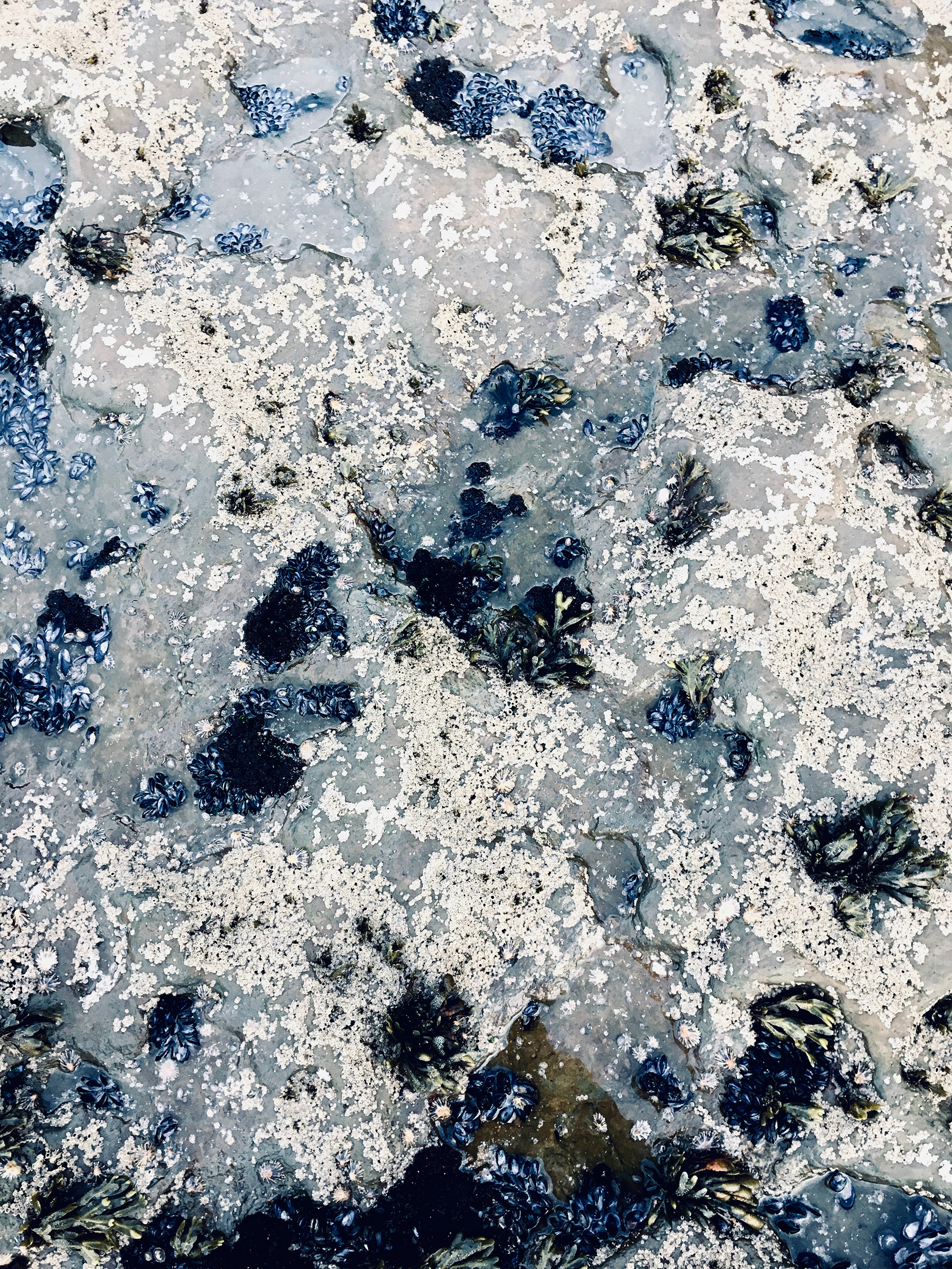 ( s ) h e . Ericeira (PT)