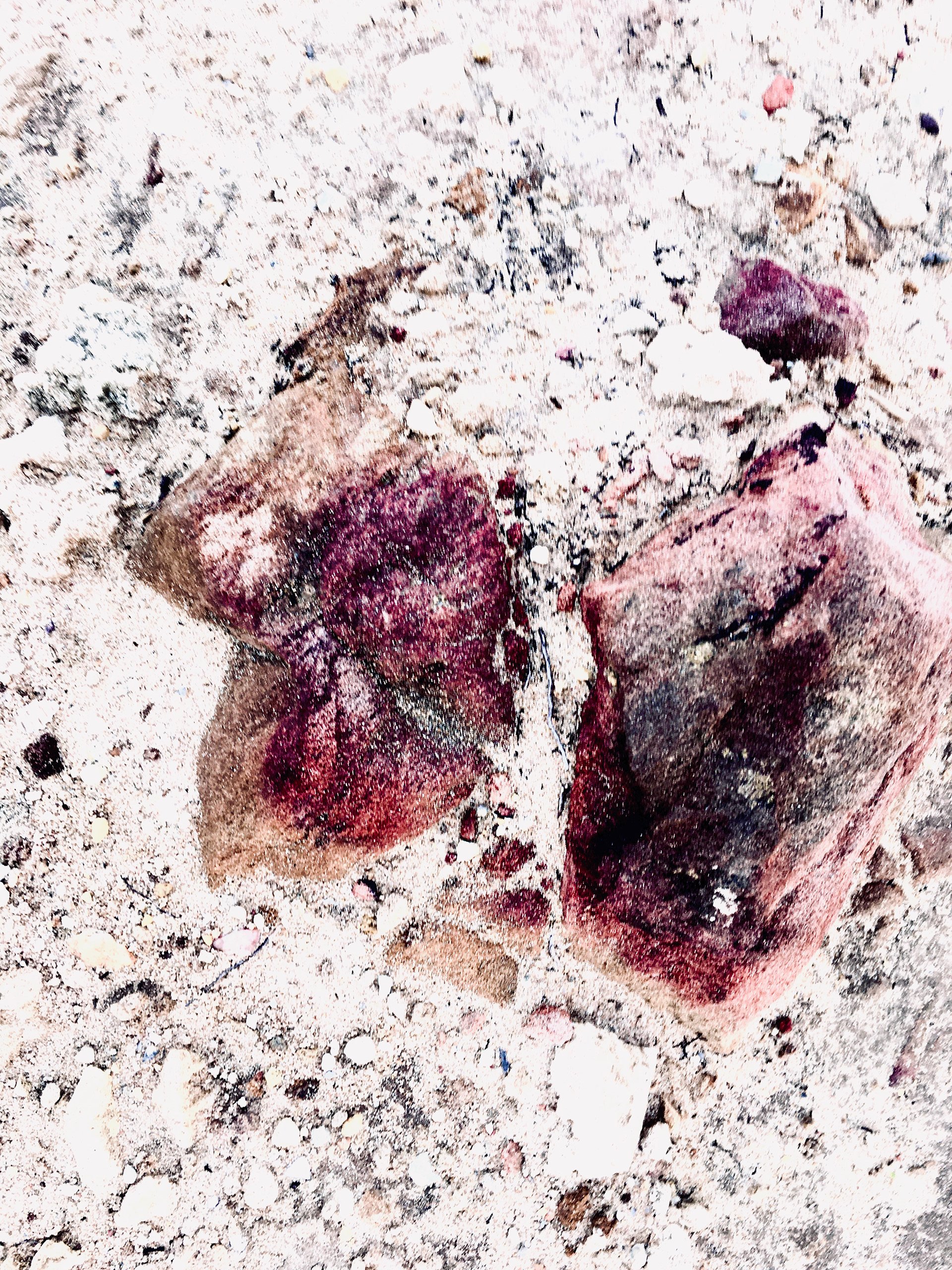 ( s ) h e . Ericeira (PT)