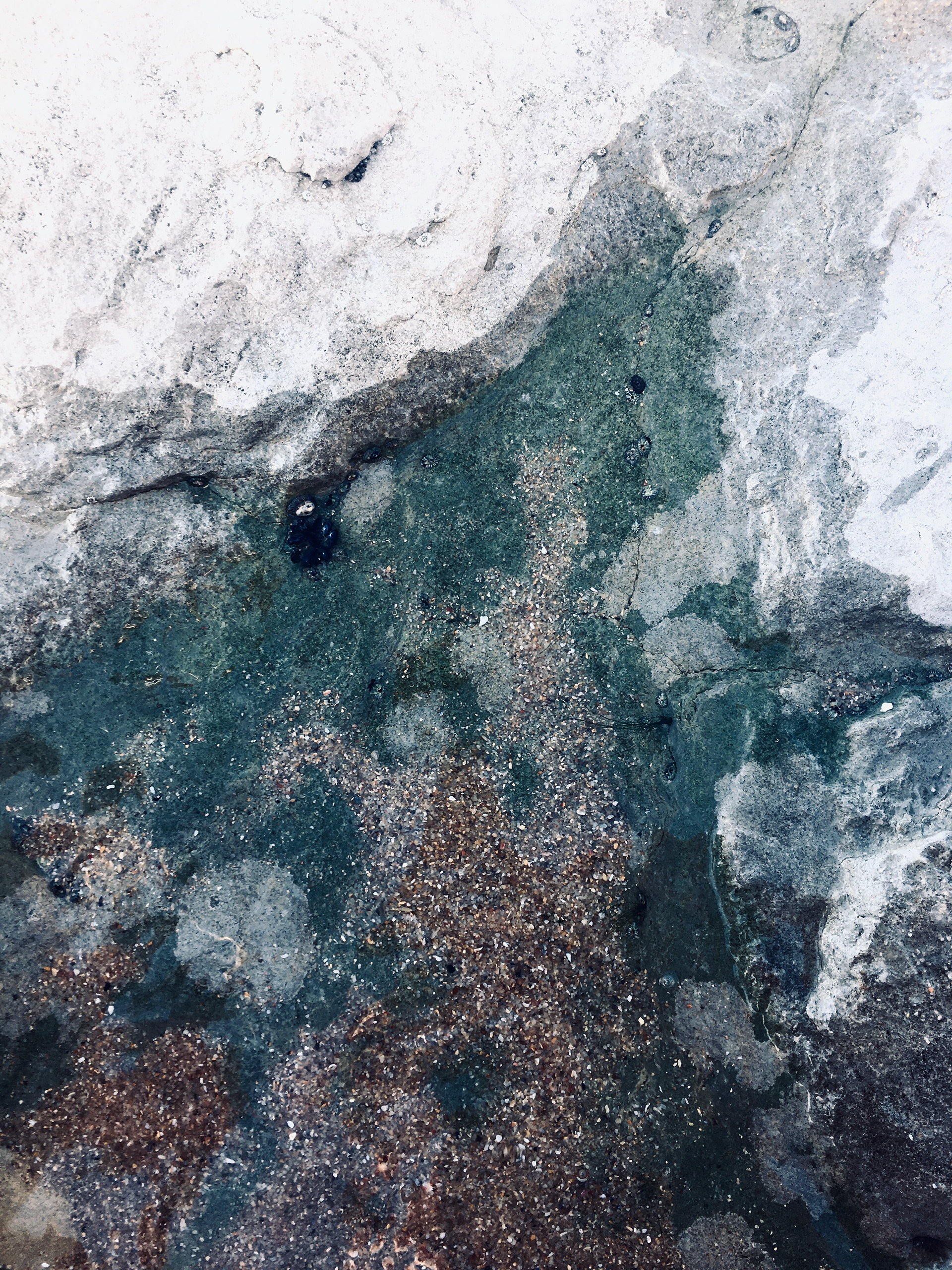 ( s ) h e . Ericeira (PT)