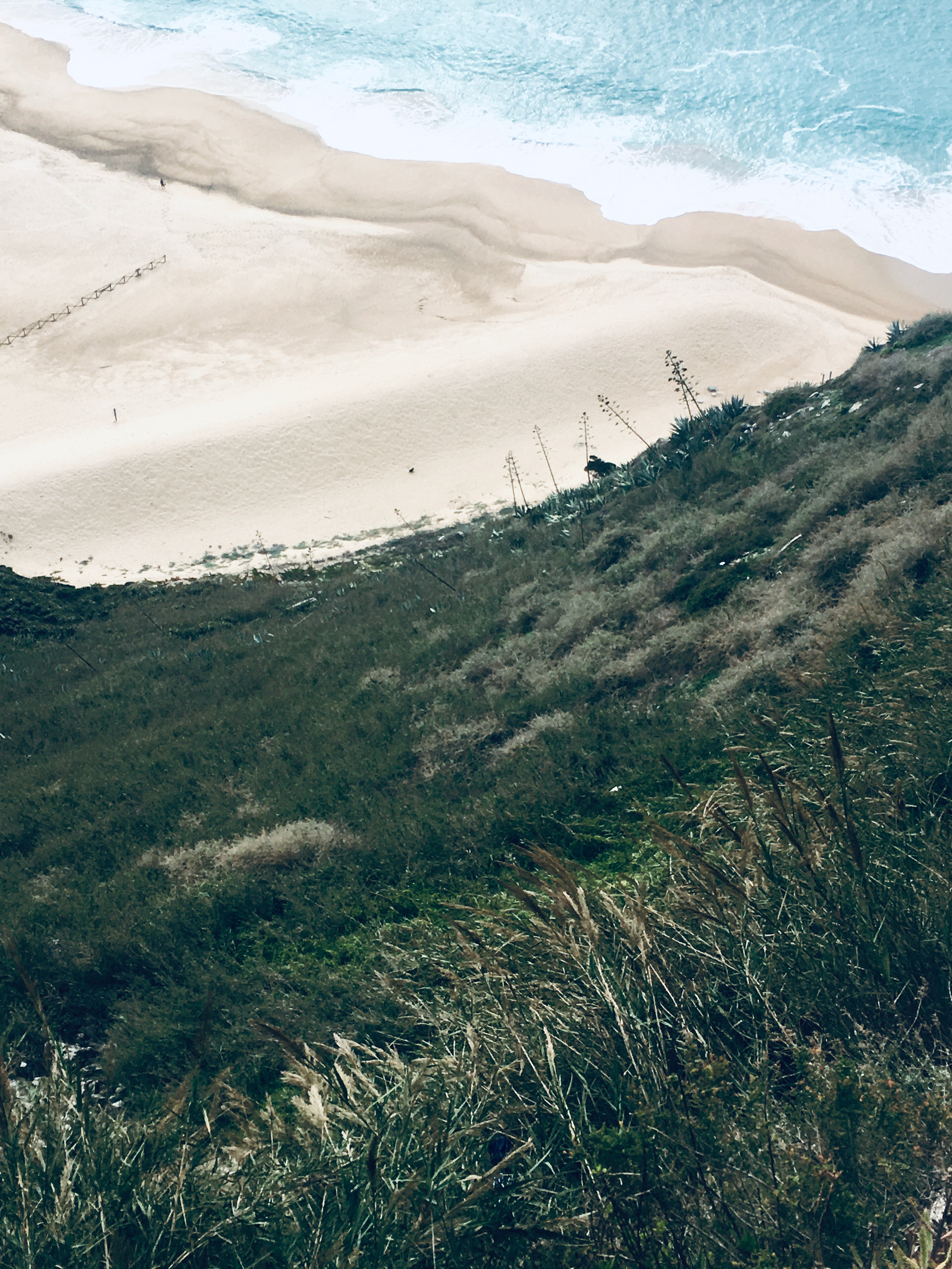 ( s ) h e . Ericeira (PT)