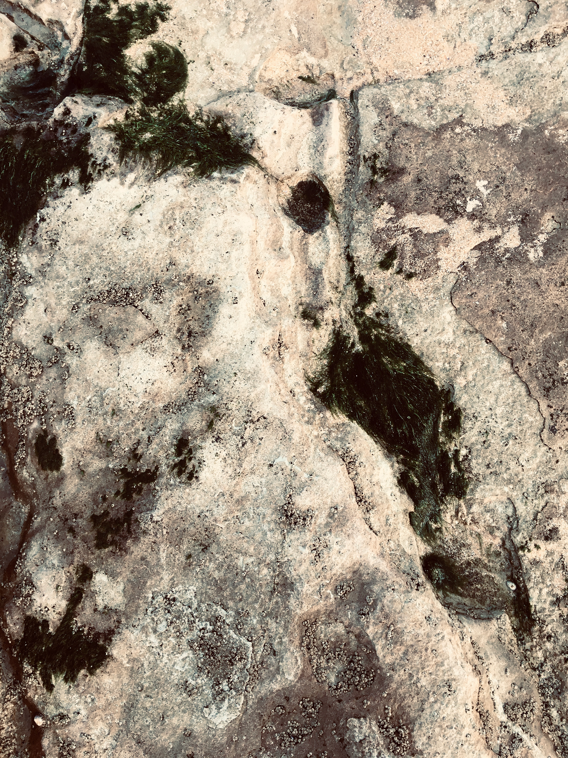 ( s ) h e . Ericeira (PT)