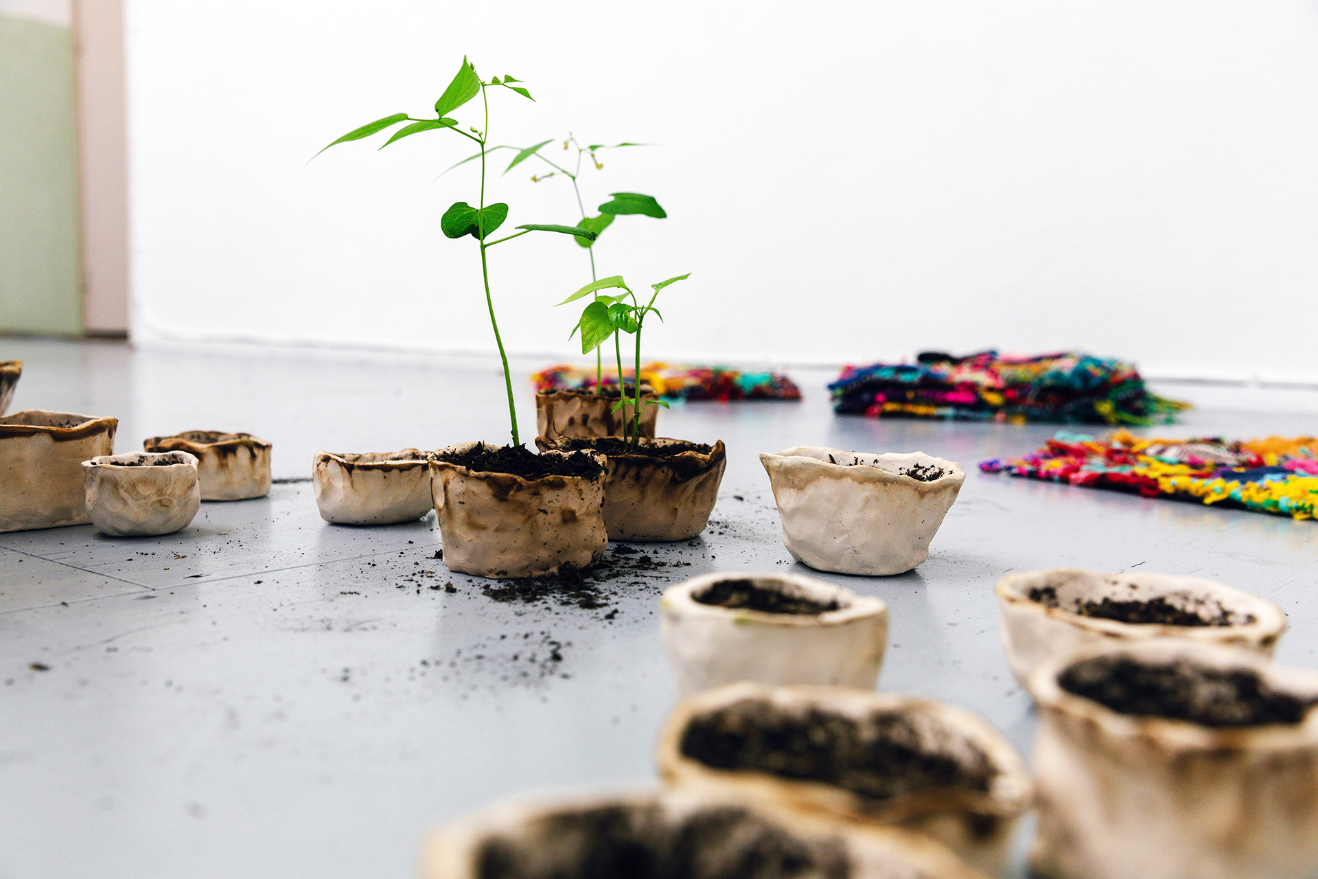 we tend to go home . with پروا.ک . Casco Art Institute - Working for the Commons . Utrecht (NL)