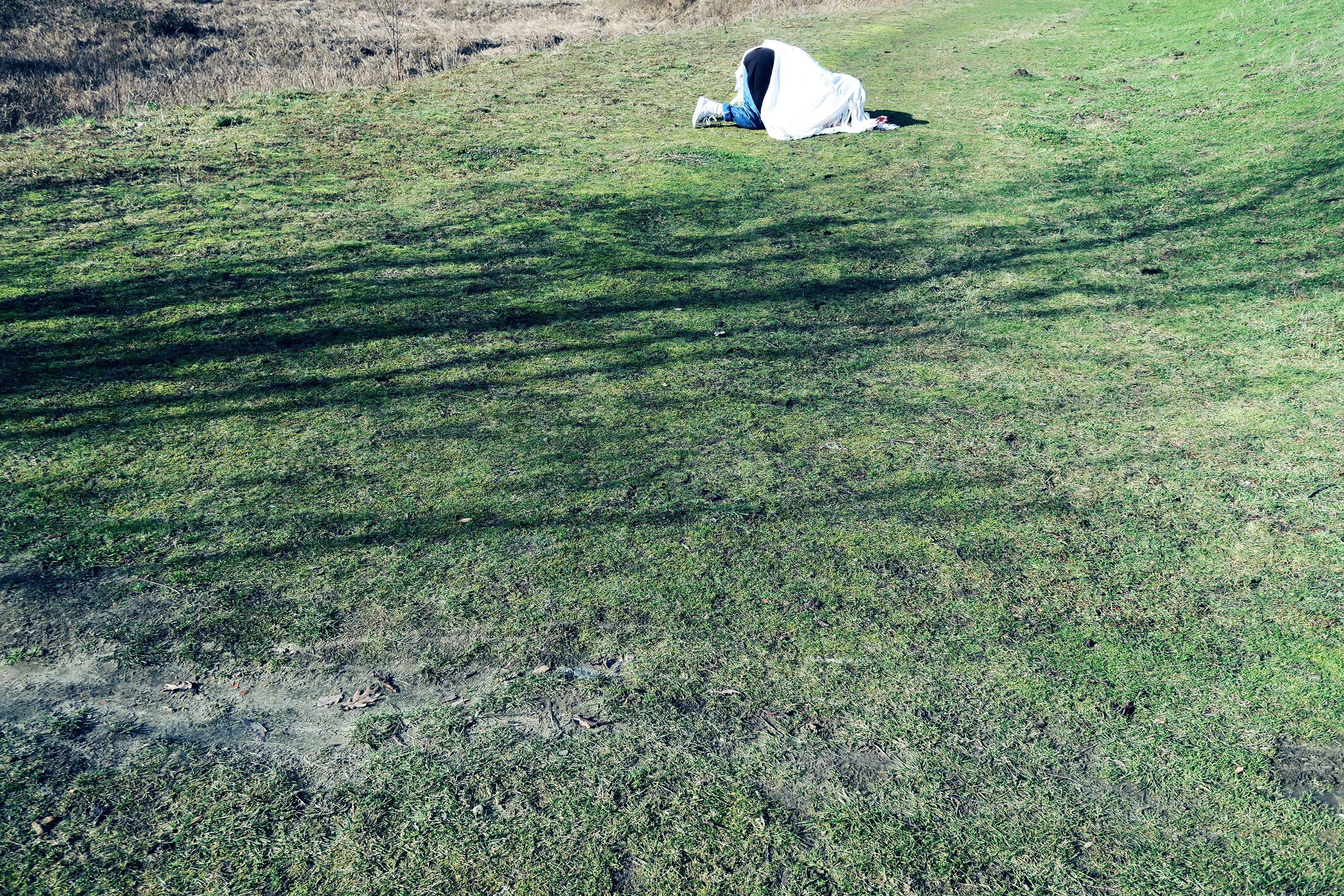 er lag iets op de grond . Klein Willebroek (B)