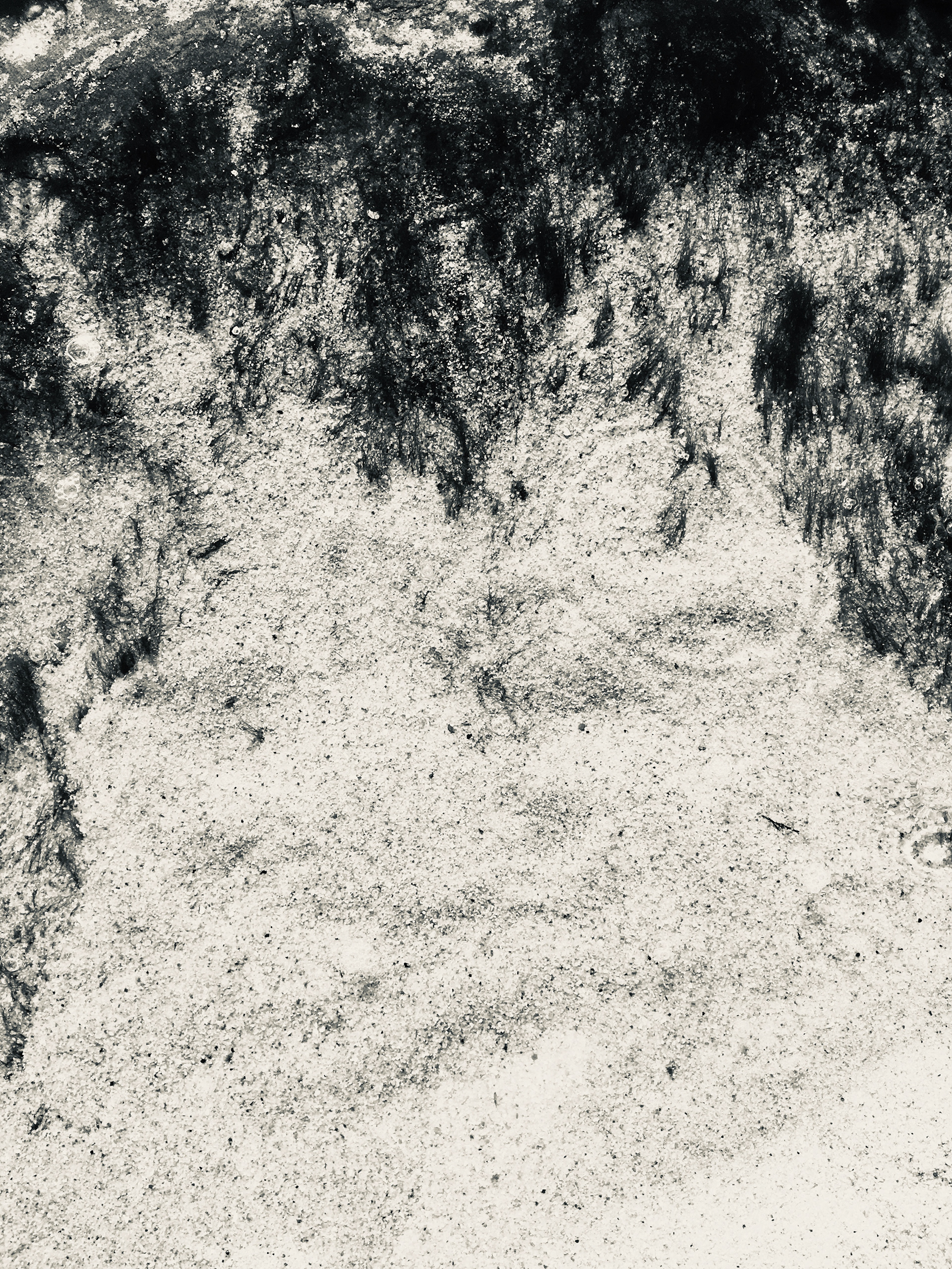 ( s ) h e . Ericeira (PT)