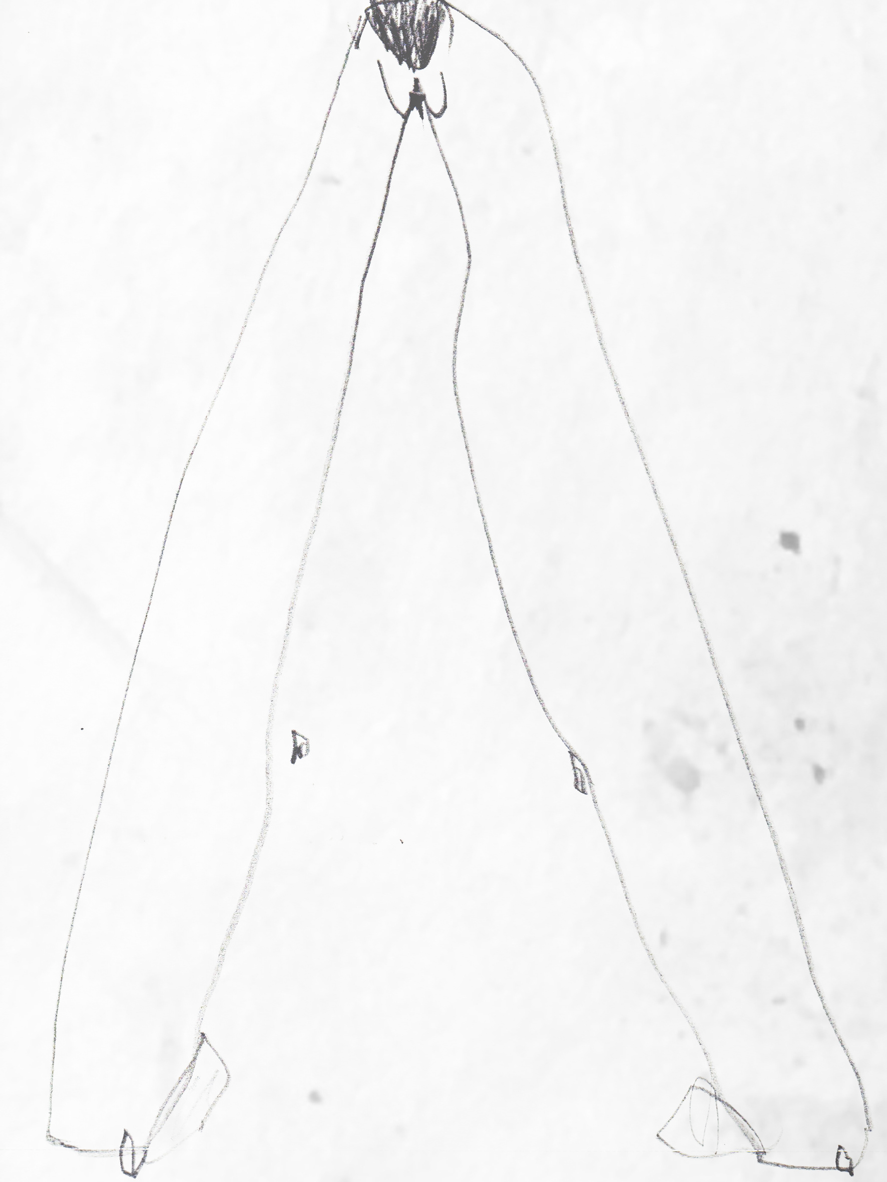 ( s ) h e . Ericeira (PT)