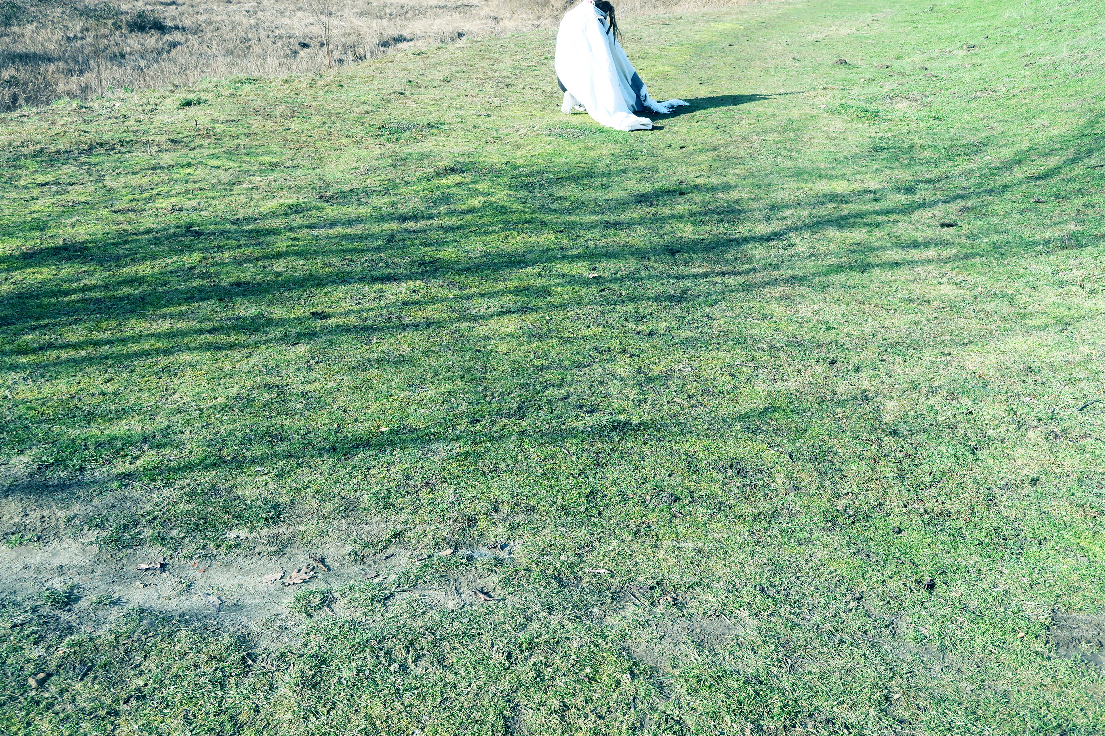 er lag iets op de grond . Klein Willebroek (B)