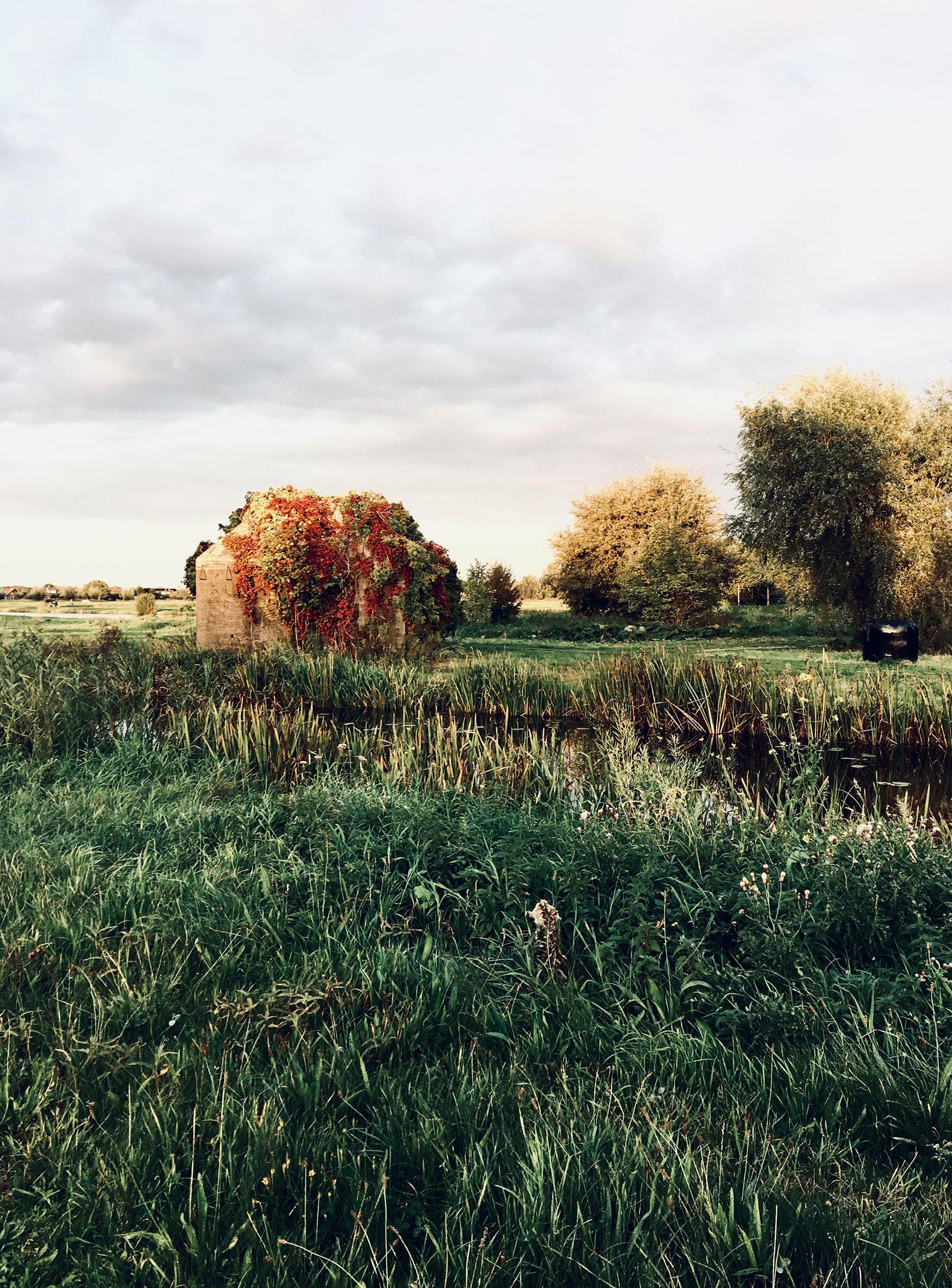 fridge celebrates loneliness . HKU . Utrecht (NL)