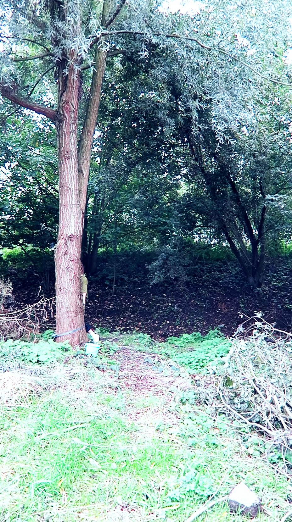 fridge celebrates loneliness . HKU . Utrecht (NL)