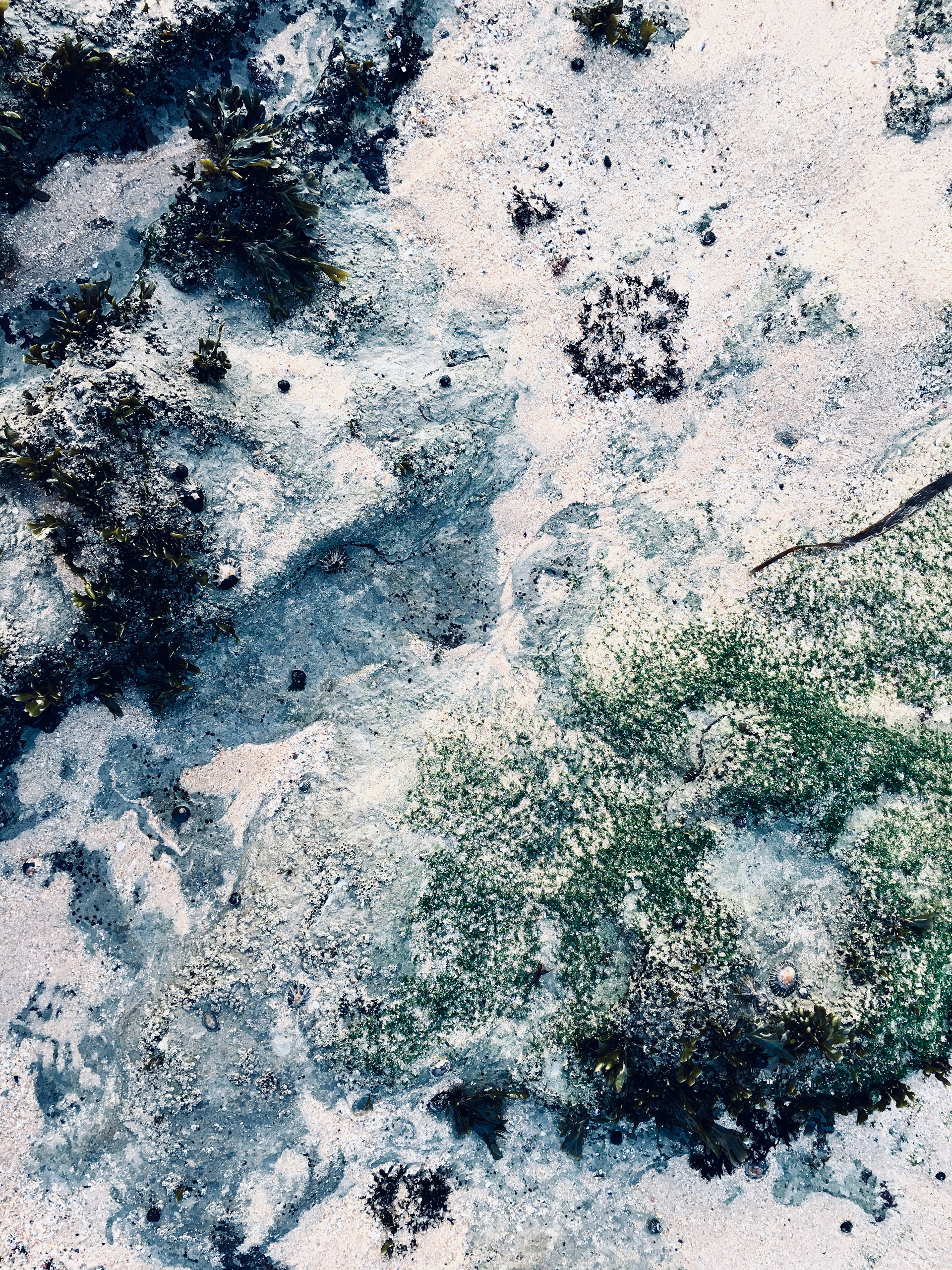 ( s ) h e . Ericeira (PT)