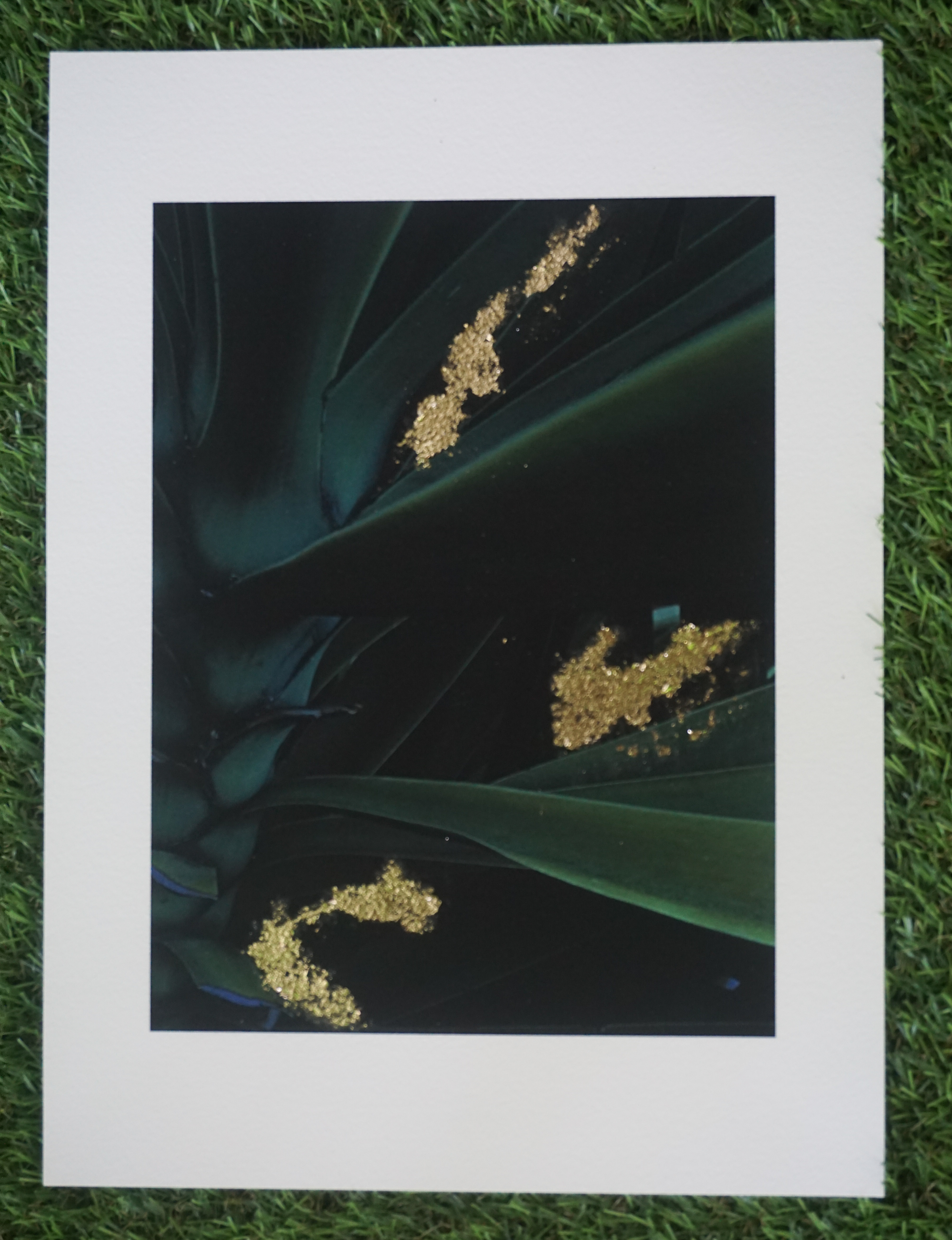 SOLD NS_Ten Plants_1/10_2021