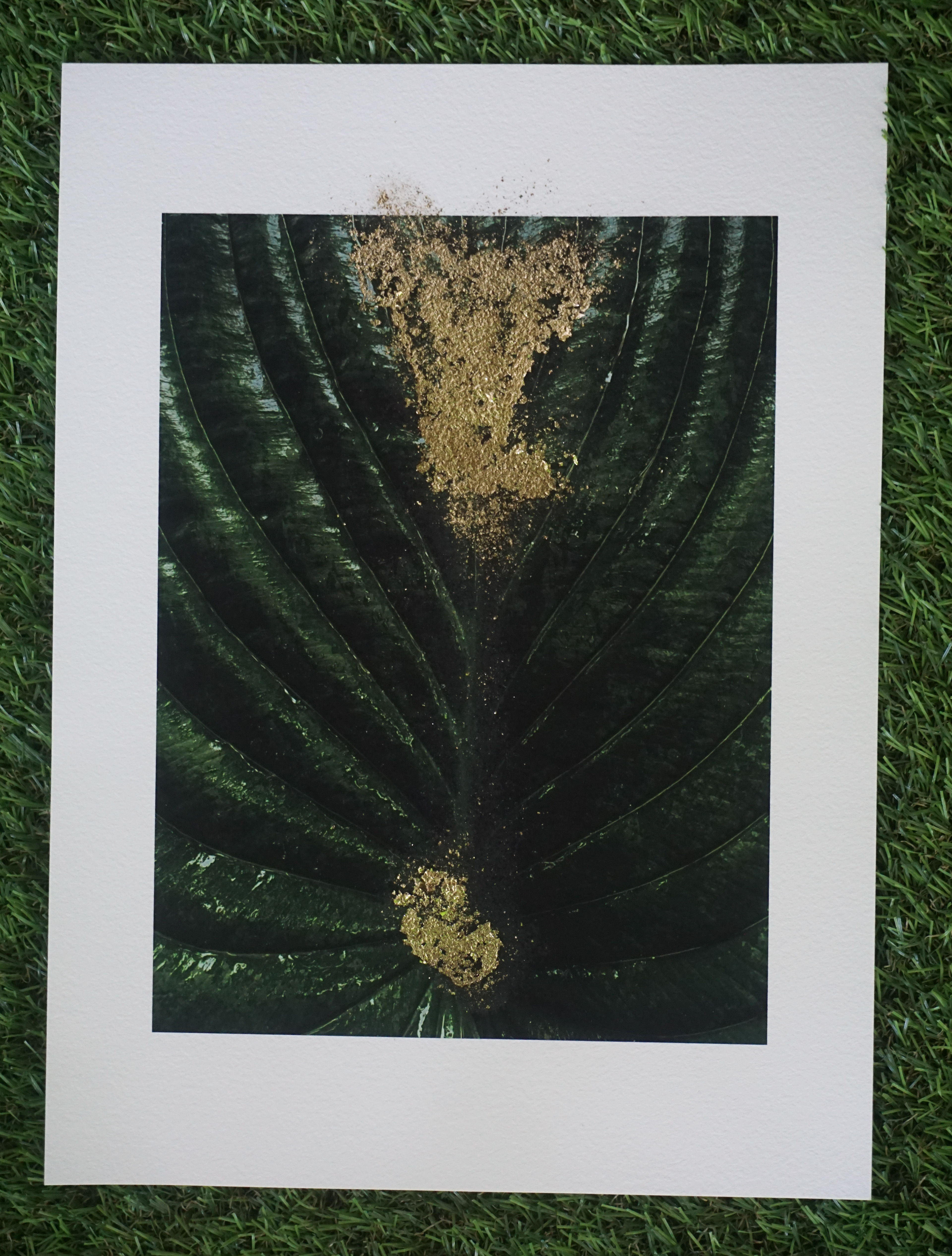 SOLD NS_Ten Plants_9/10_2021