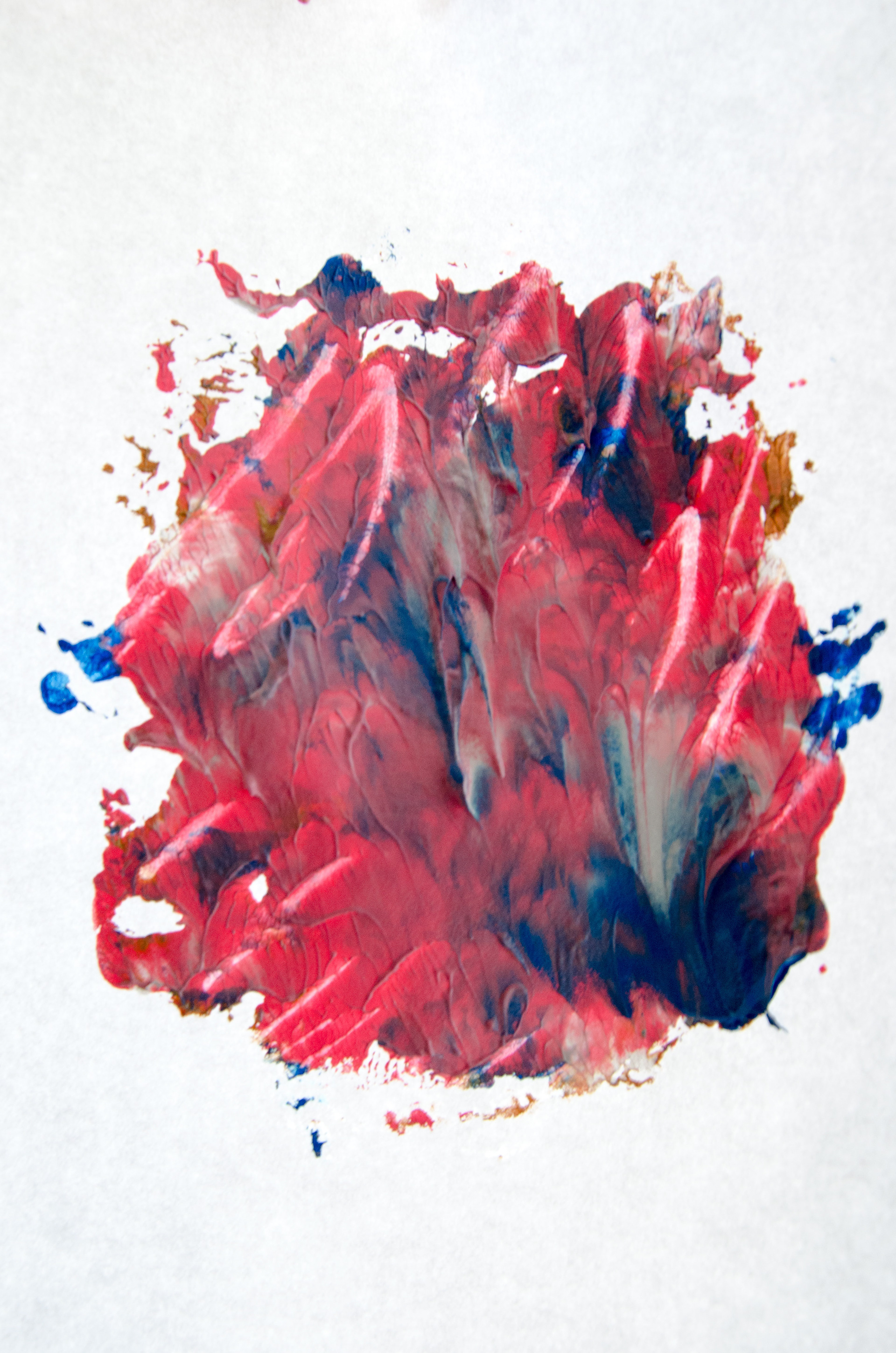 Alison Brusson Photography Color Flower Paint