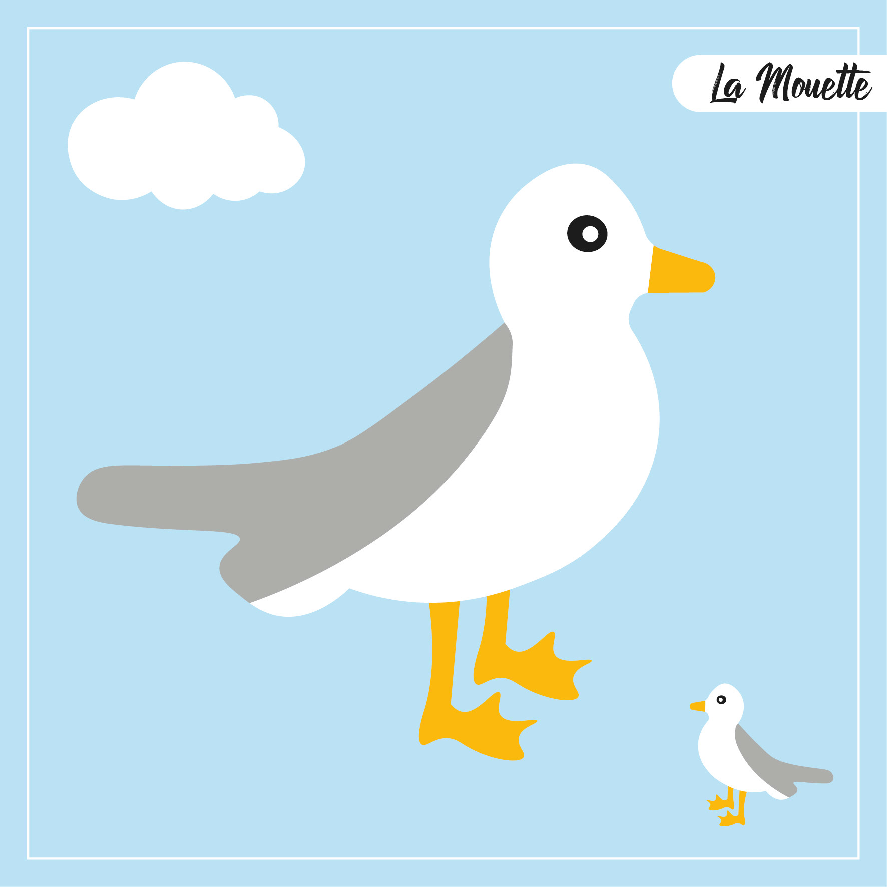 mouette