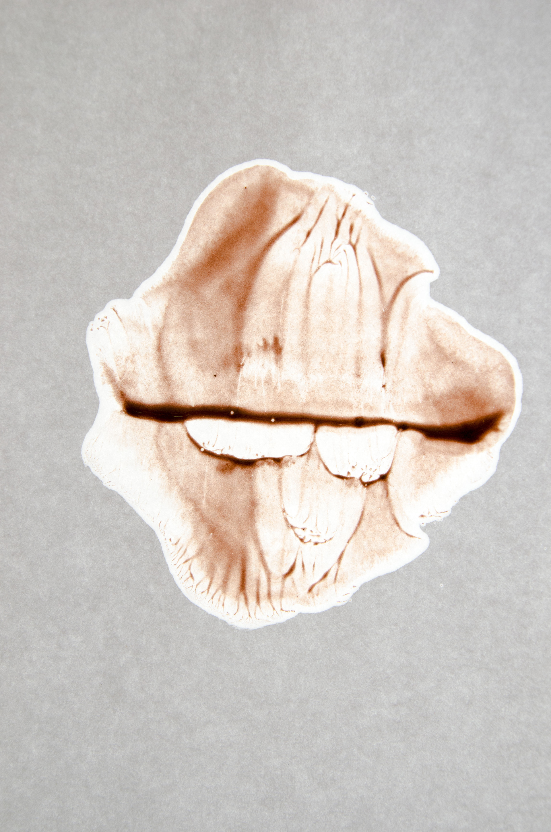 Alison Brusson Photography Paint Cool