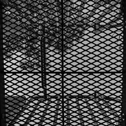 Urban Daydream (Spring 2022)