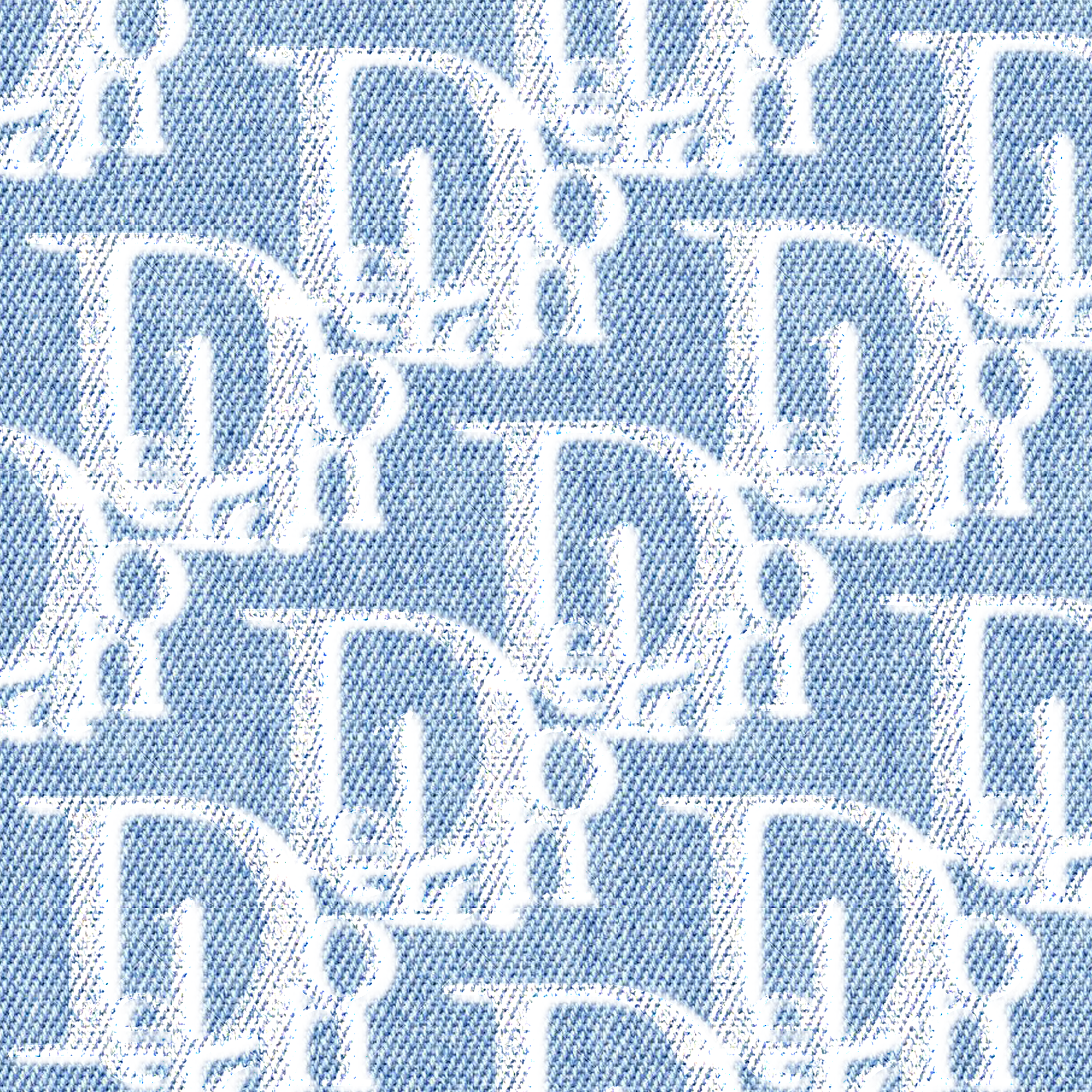 delano made into dior logo
