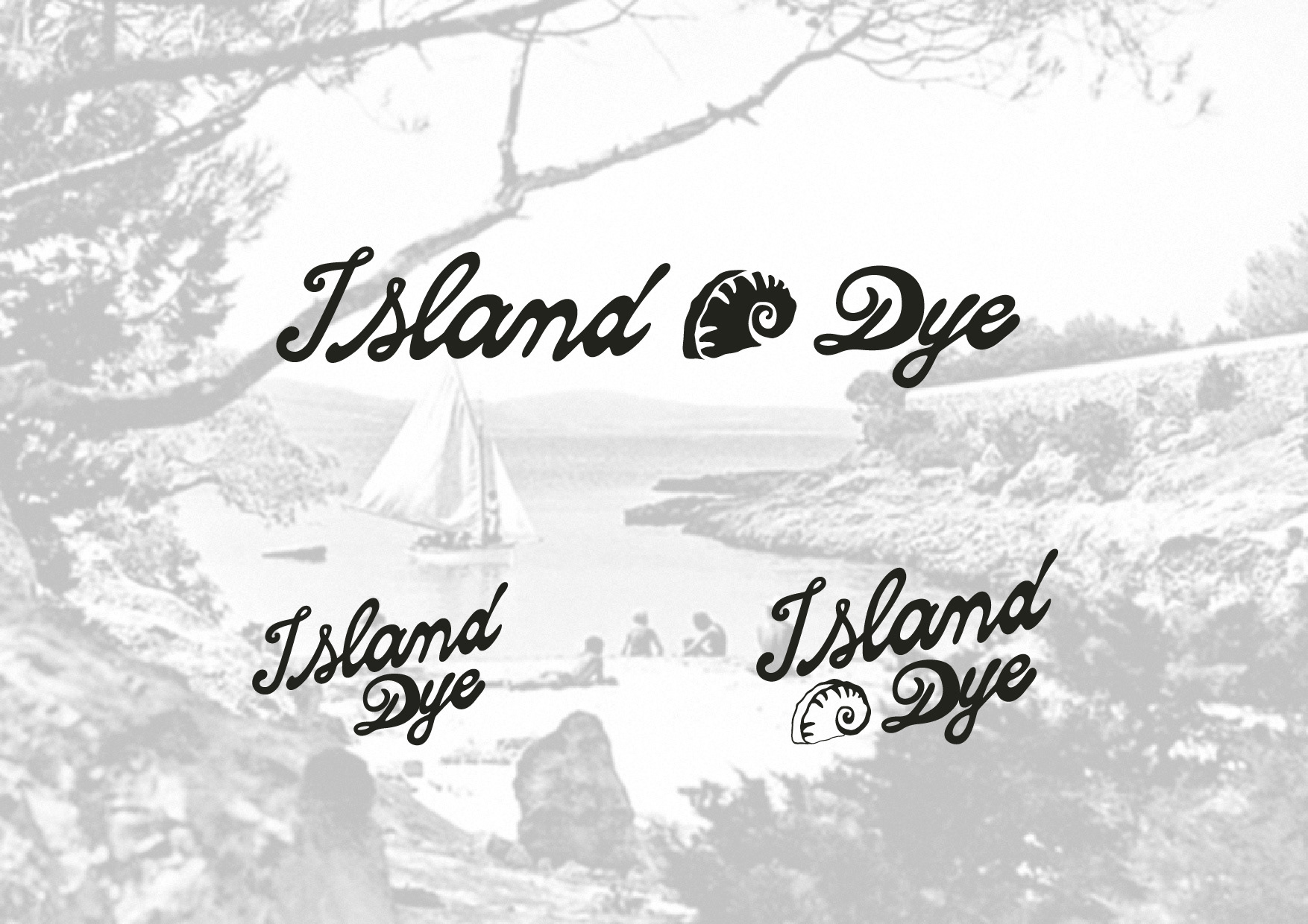 Logo versions