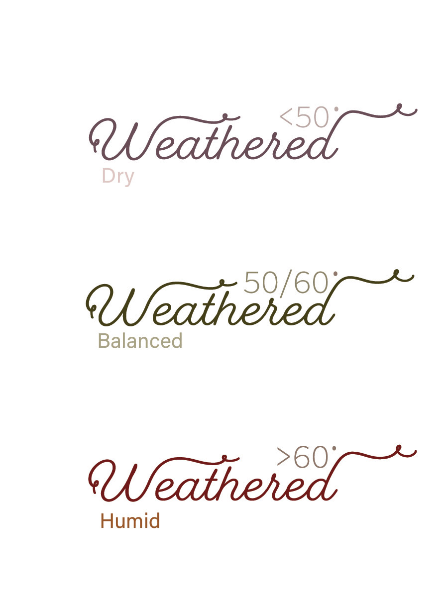 Alternate Logo Design