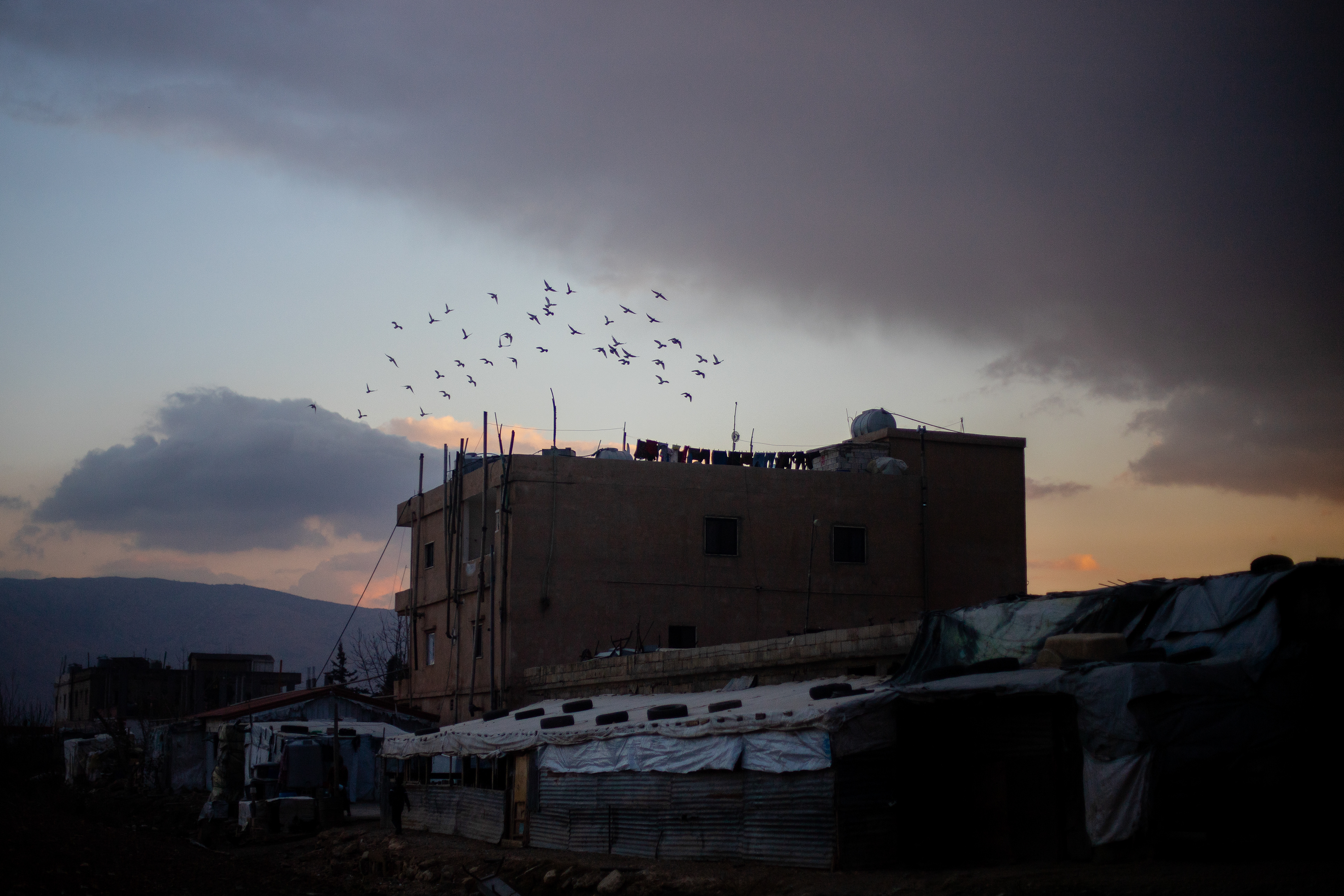 Birds fly above an informal refugee camp in the Beka valley. Hundreds of thousands of Syrians have lived in these informal settlemts since the cival war in Syria began around 14 years ago with many working in agriculture. The fall of the Bashar al-Assad regime to opposition forces on December 8 has stirred hope and anxiety among Syrians in Lebanon hoping to return home, but worried that they will be forced to before they are ready.