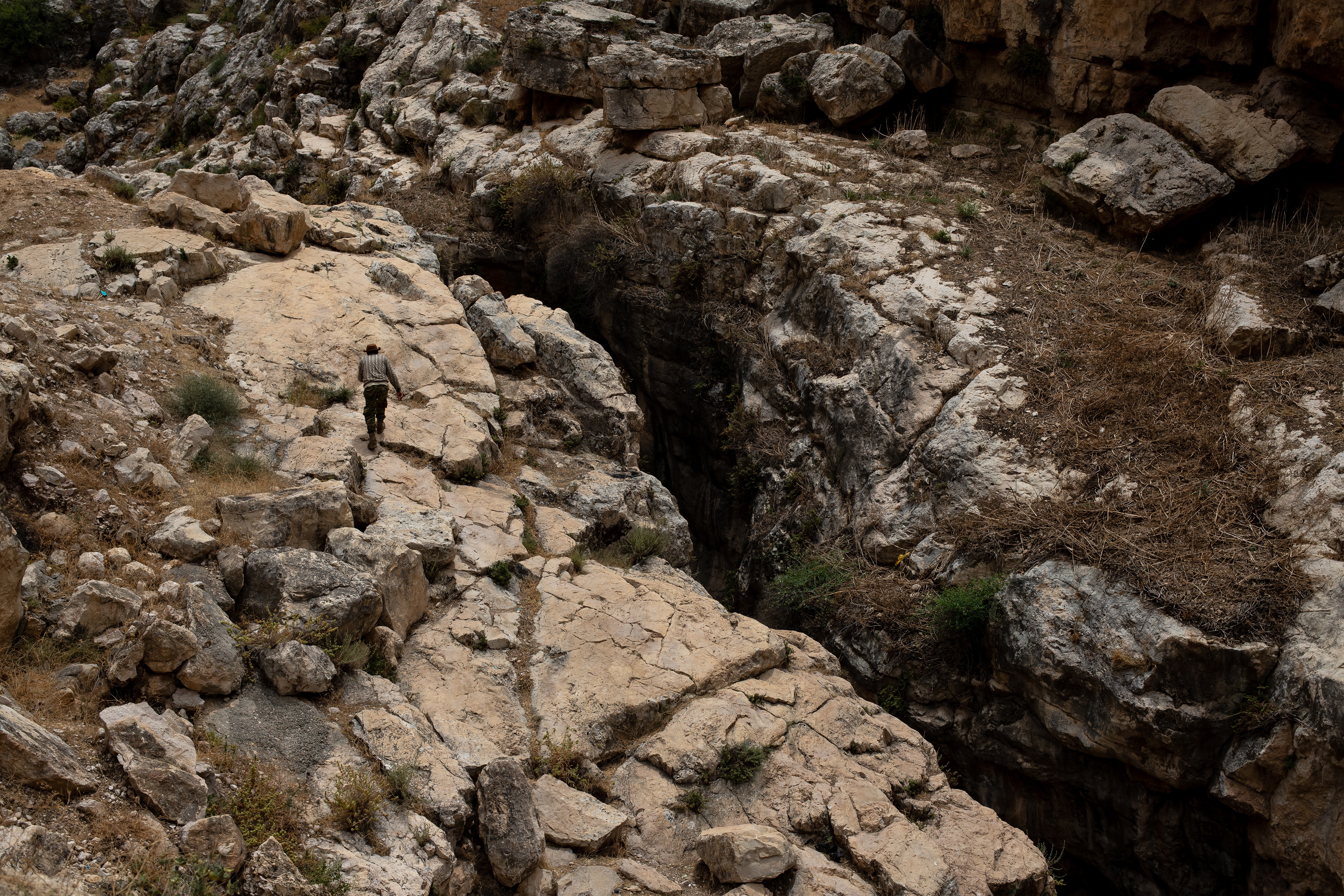 A farmer walks in a Wadi near Ajloun.