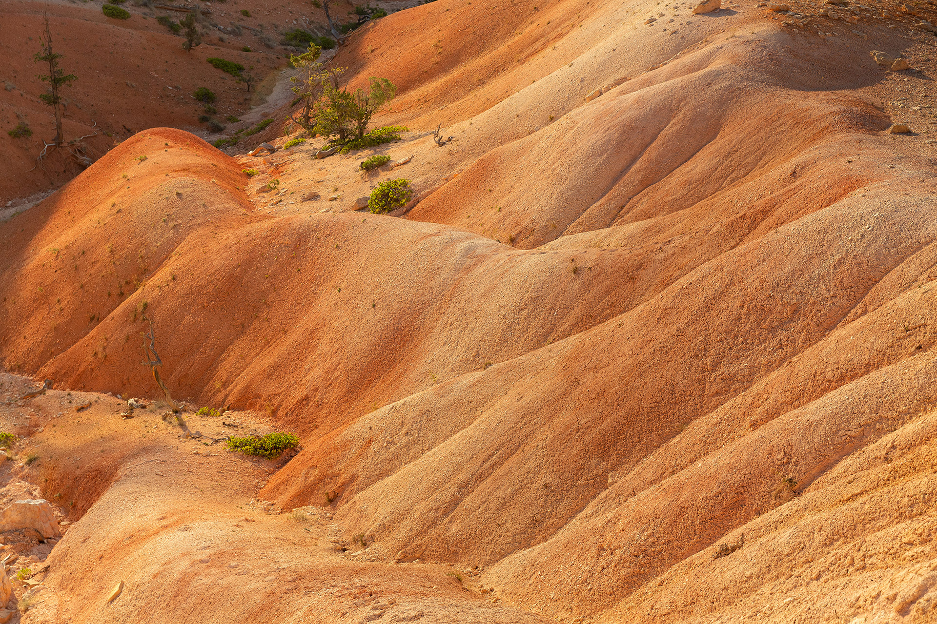 Red sand formation at Bryce Canyon, Utah {081520_Bryce_126}
