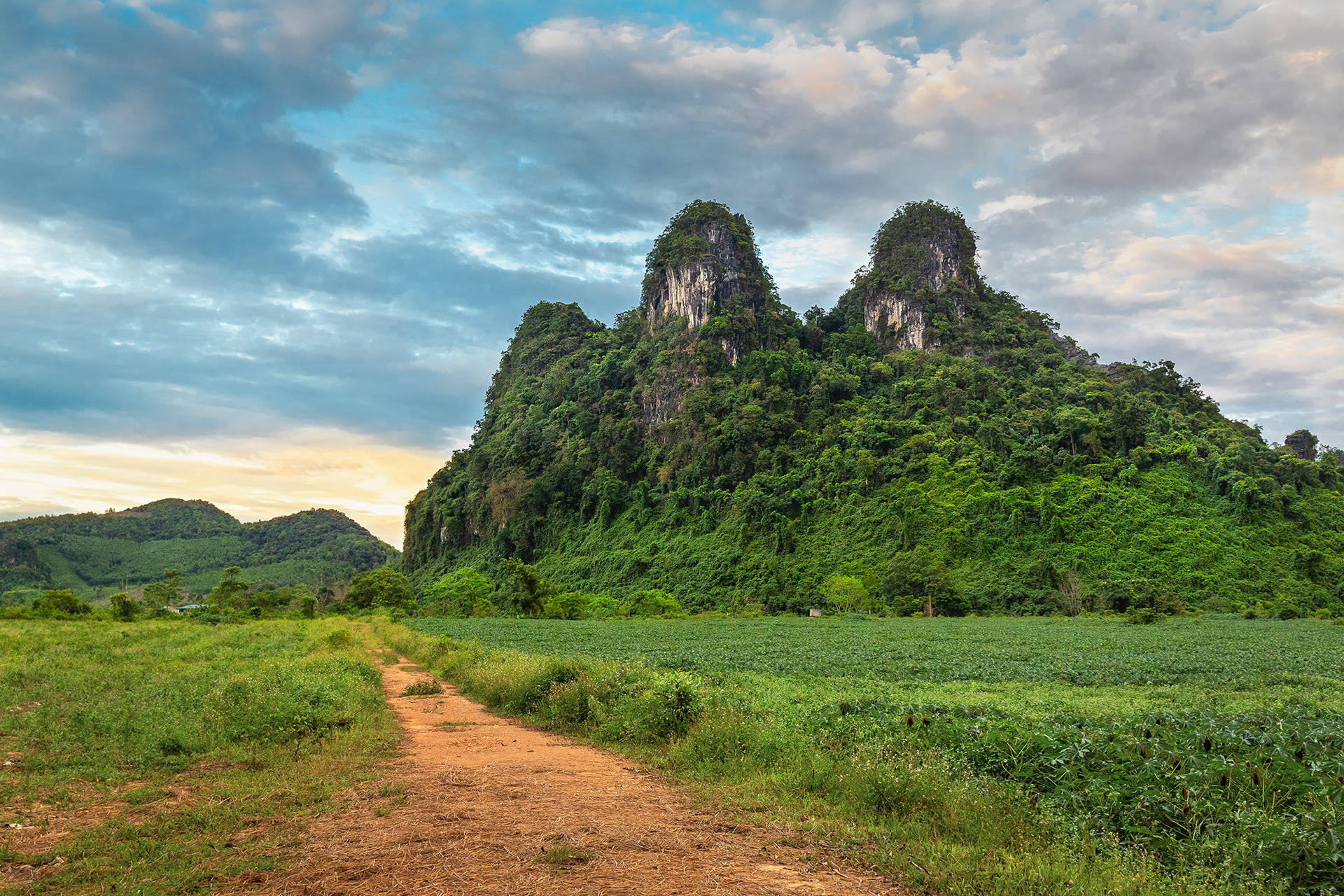 Beautiful mountains in Da Lat, Vietnam {052918_DaLat_215}