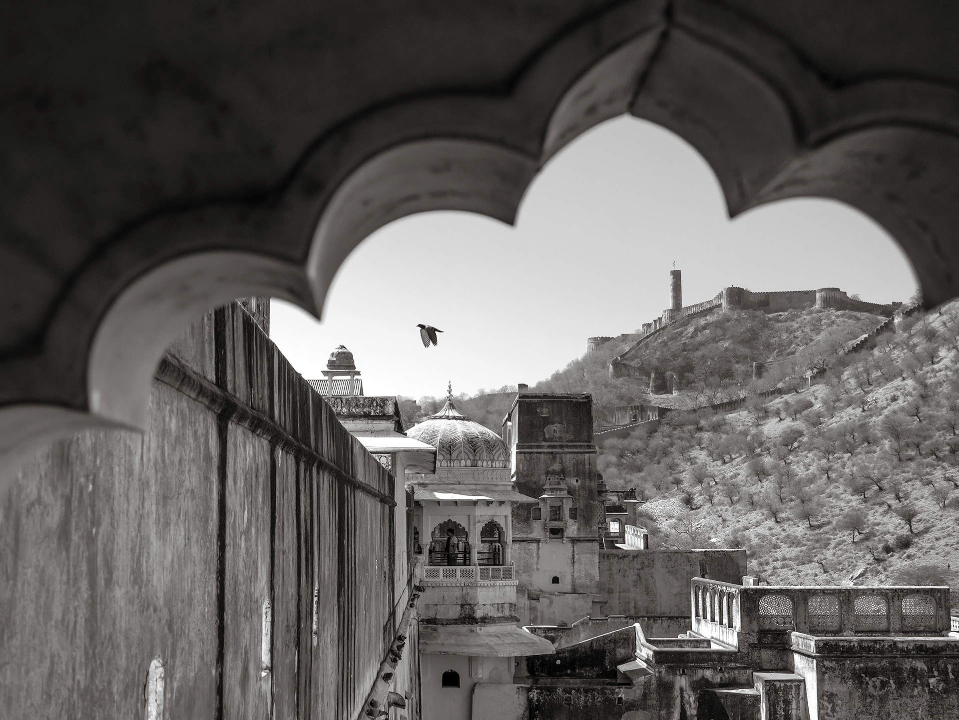 View through window at the Amber Palace, Jaipur, India {030317_Jaipur_285}