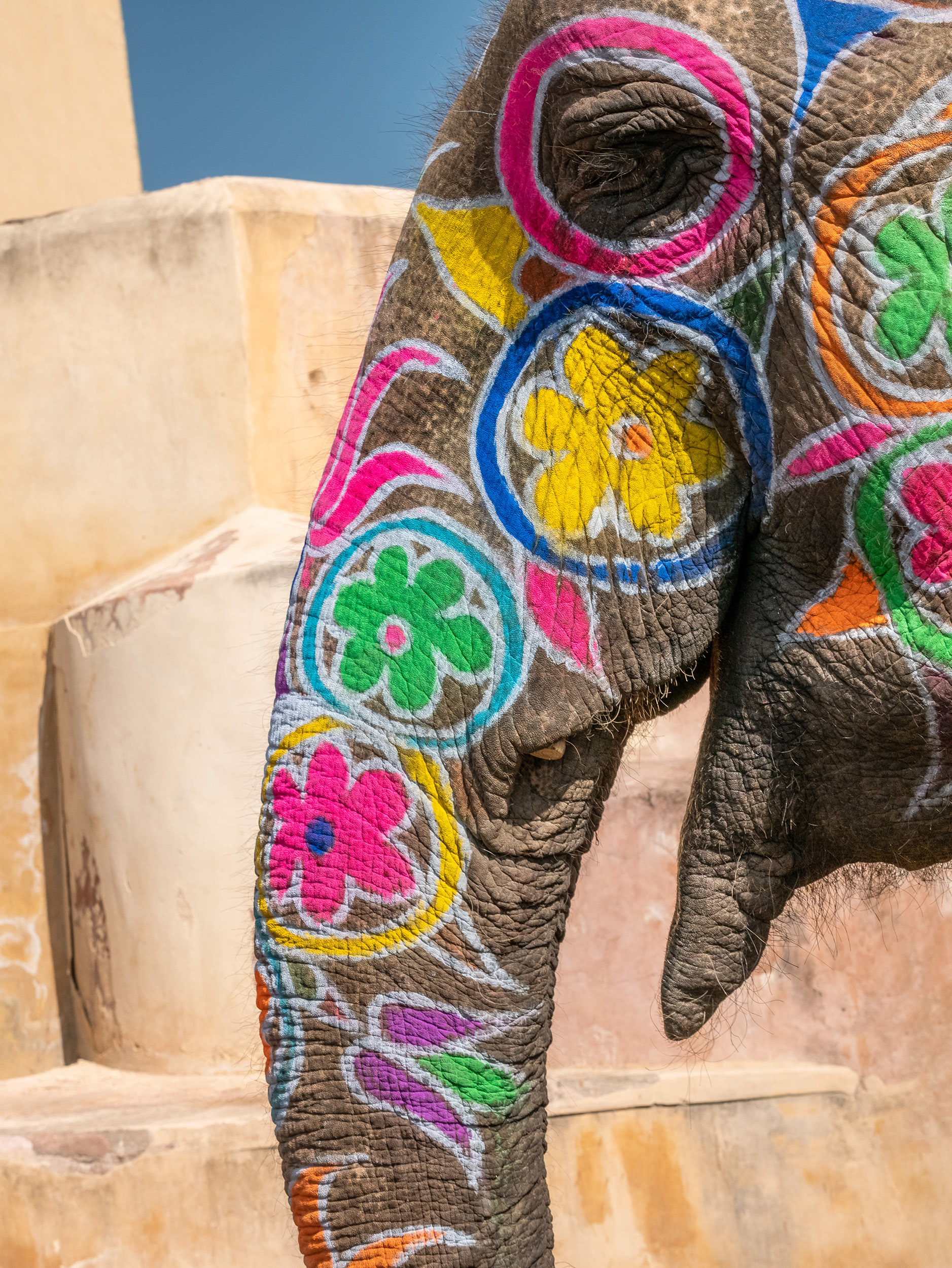 Painted elephant in Jaipur, India {030317_Jaipur_142}