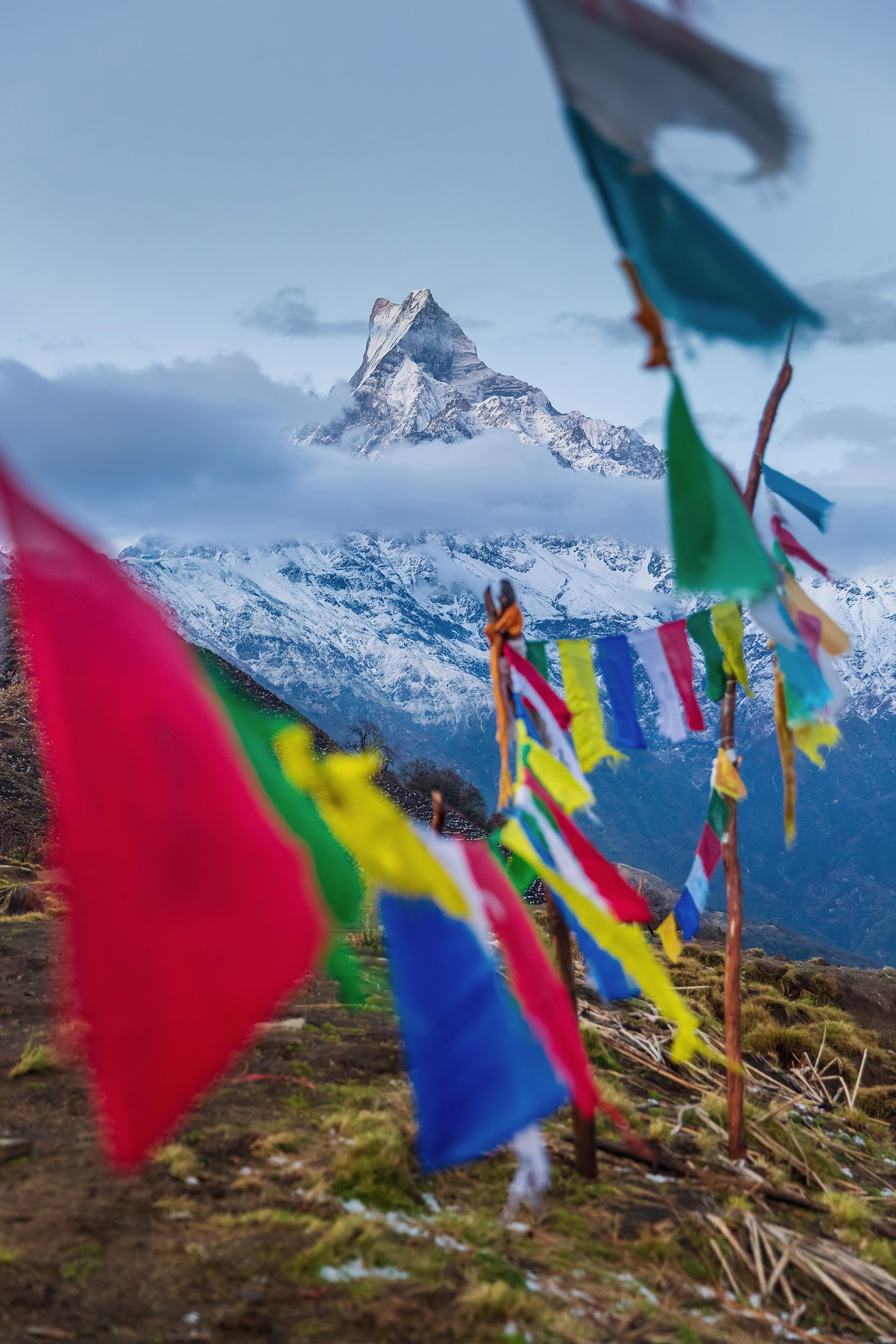 View of Machapuchare (Fishtail) peak and prayer flags, Nepal {040118_Nepal_1460}