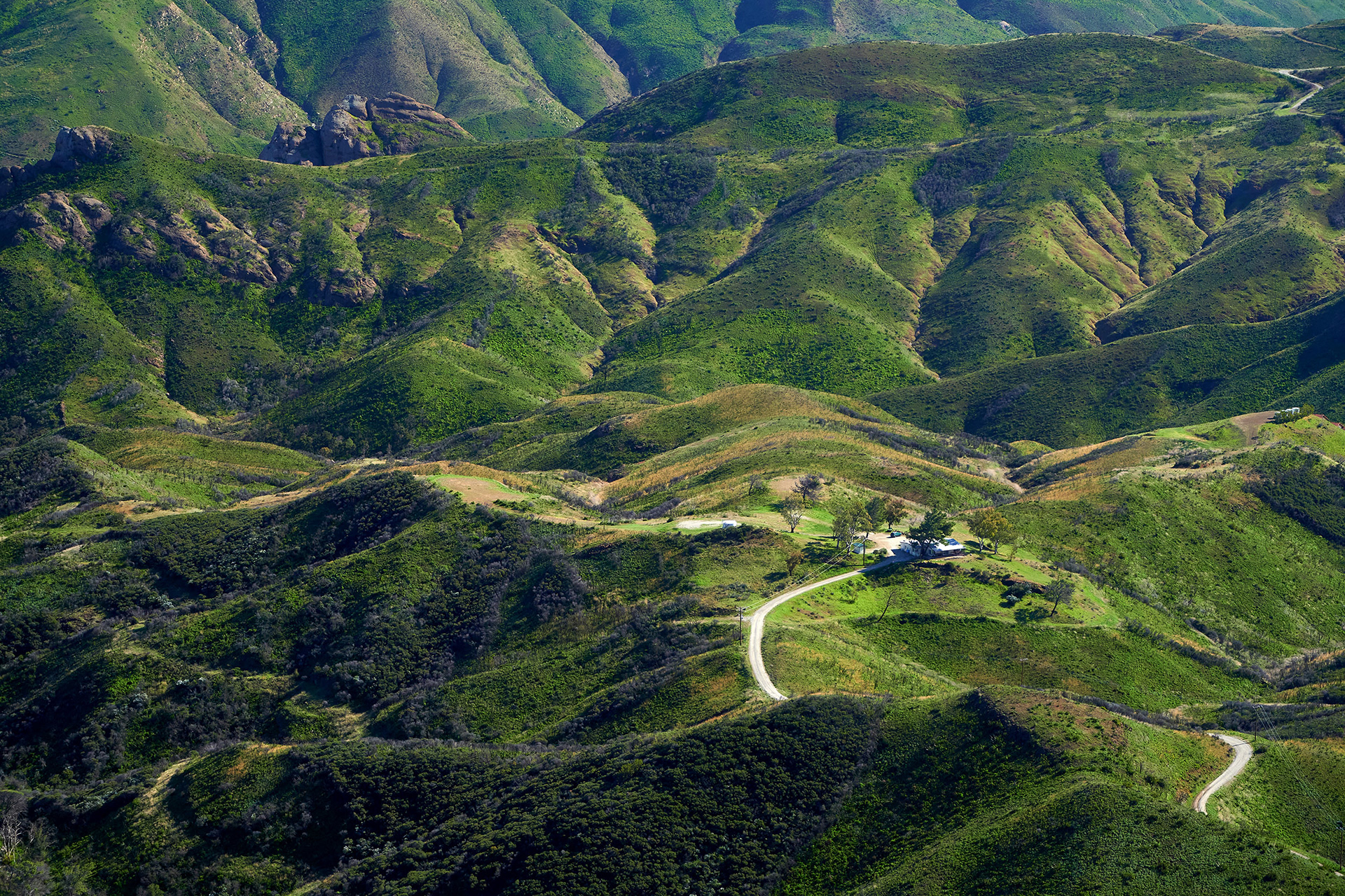 View of green foothills, Pacific Palisades, CA {022520_Inspiration_Point_096}