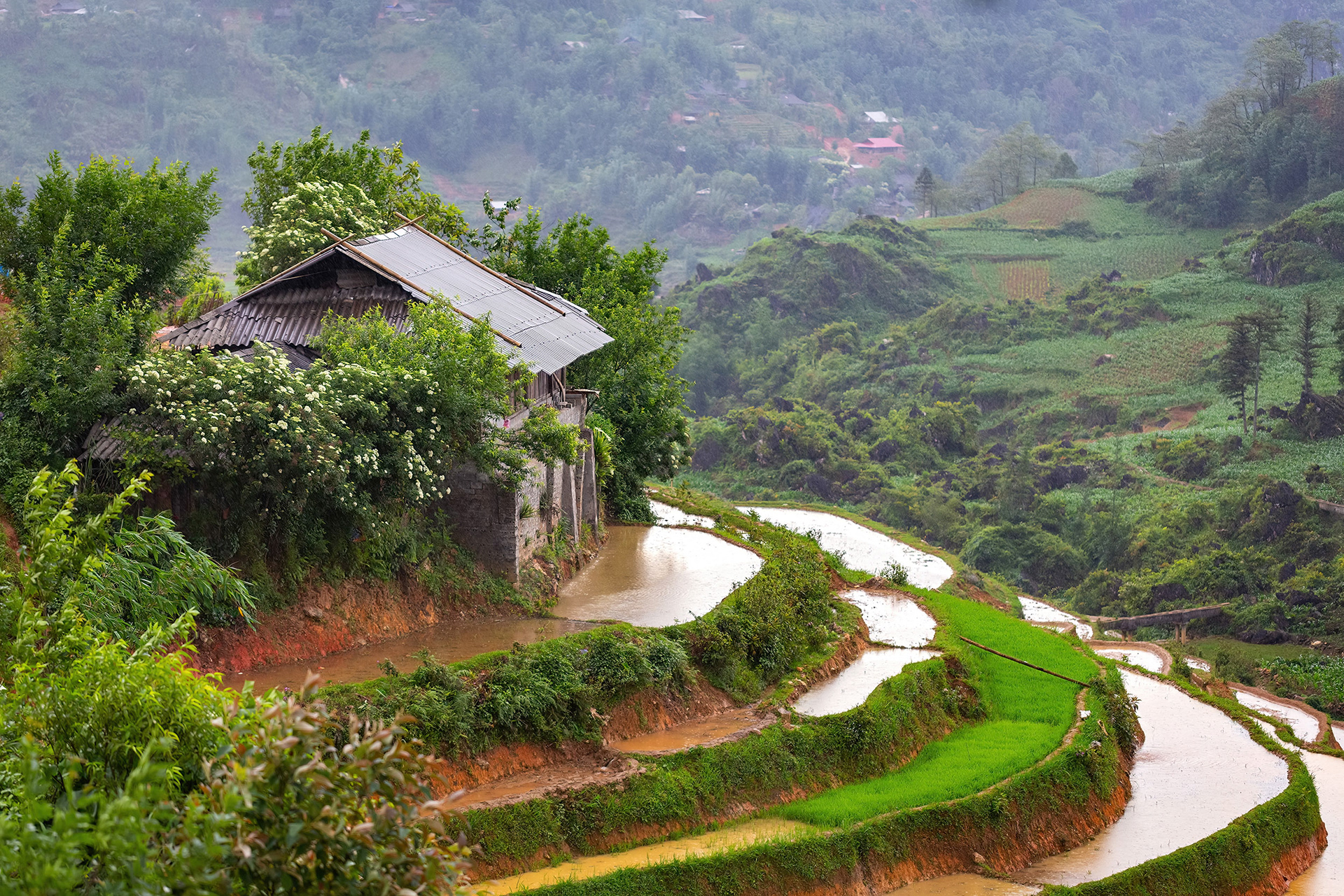 Beautiful hillside home above flooded rice fields in Sa Pa, Vietnam {051618_Sapa_100}