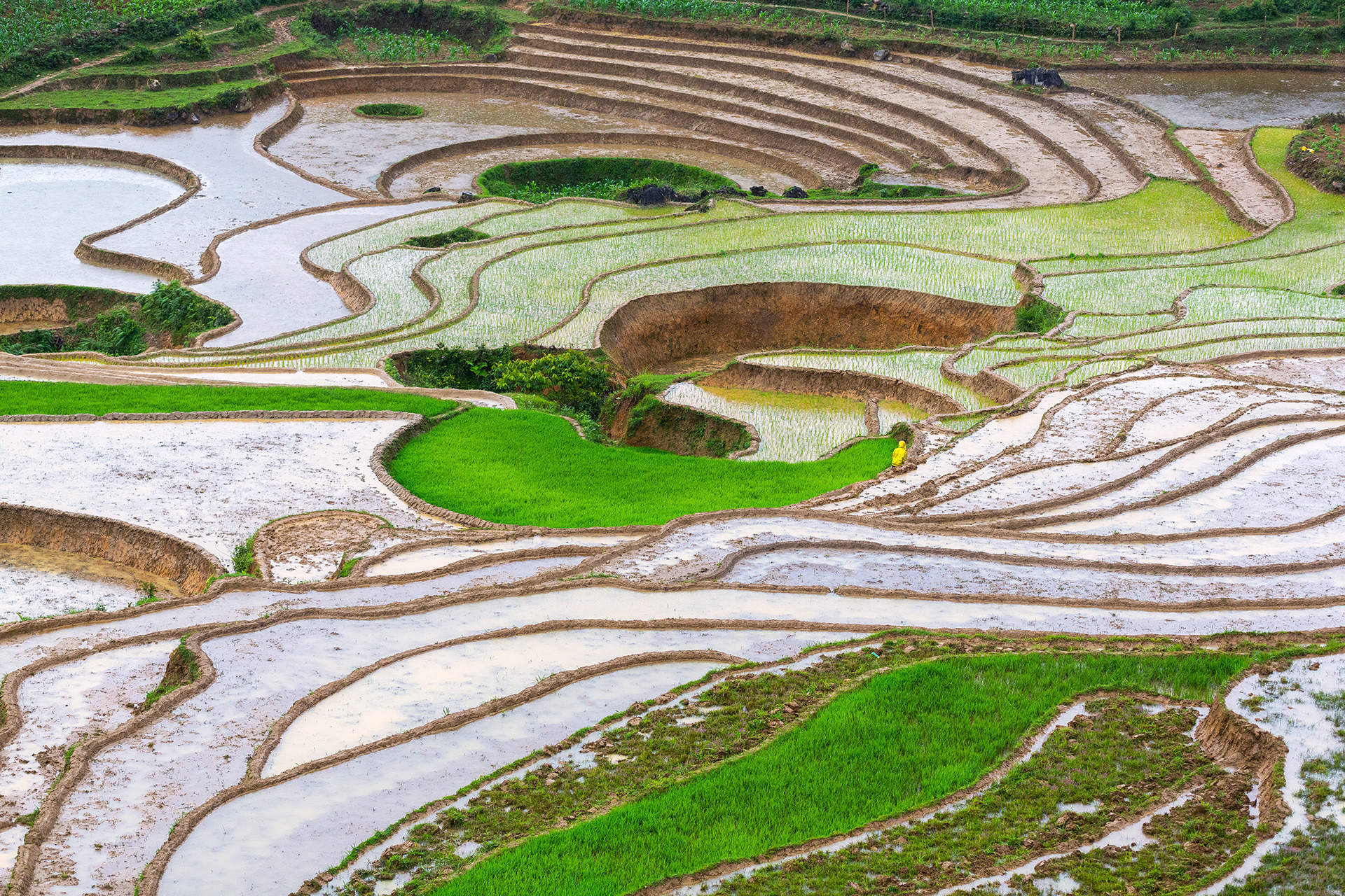 A large flooded rice field in Sa Pa, Vietnam {051618_Sapa_101}