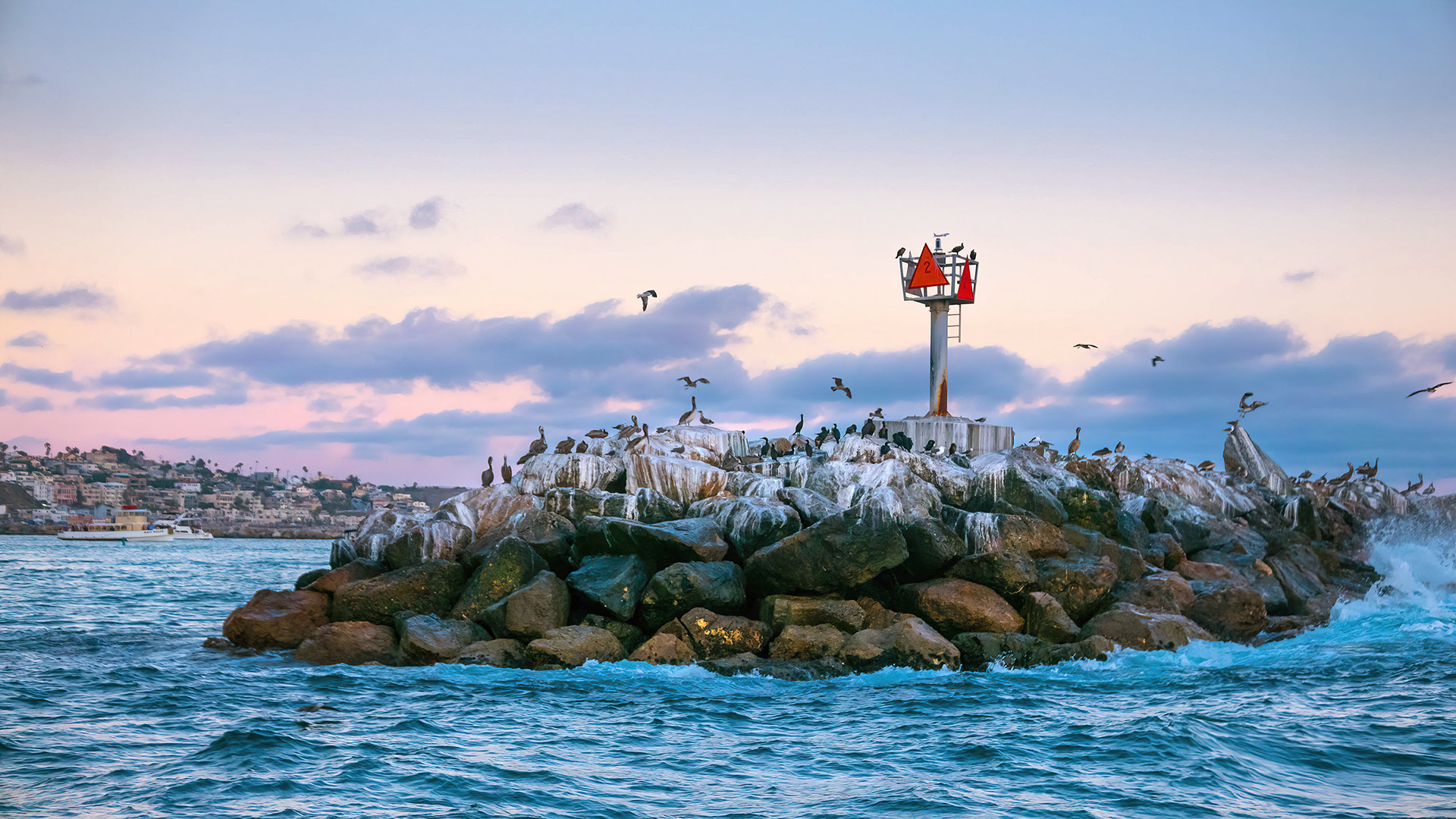 Birds resting on breakwater, Marina Del Ray, CA {070416_4thJULY_42}