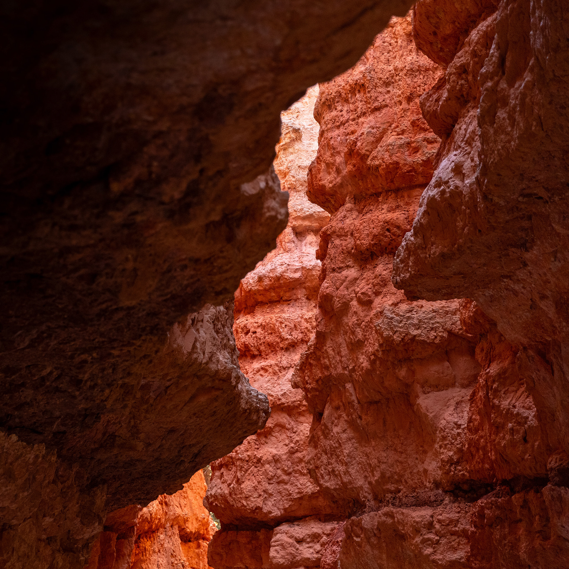 Red slot canyon at Bryce Canyon, Utah {081520_Bryce_189}