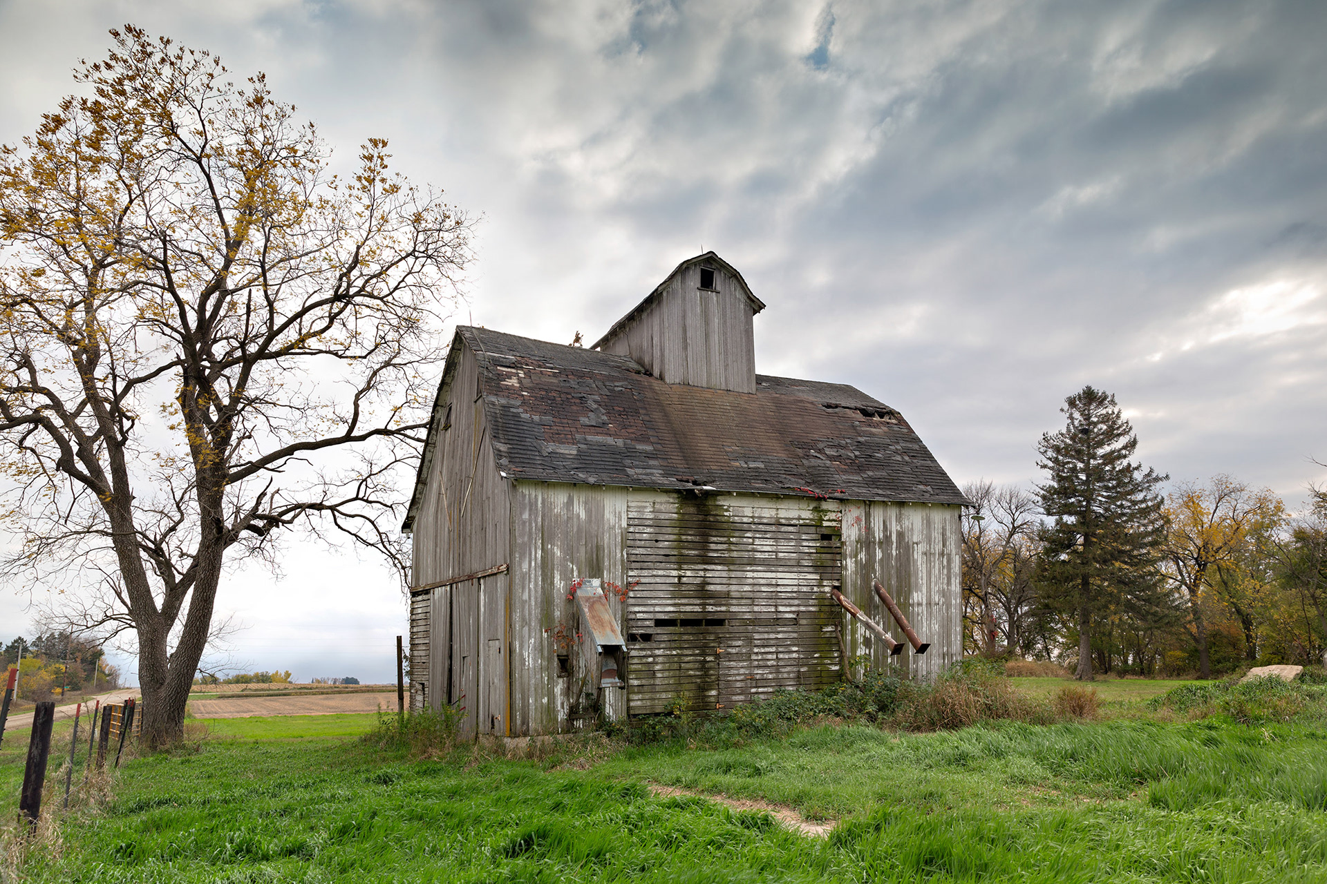 Beautiful grey barn with green grass, Iowa {102017_Plagge_0990}