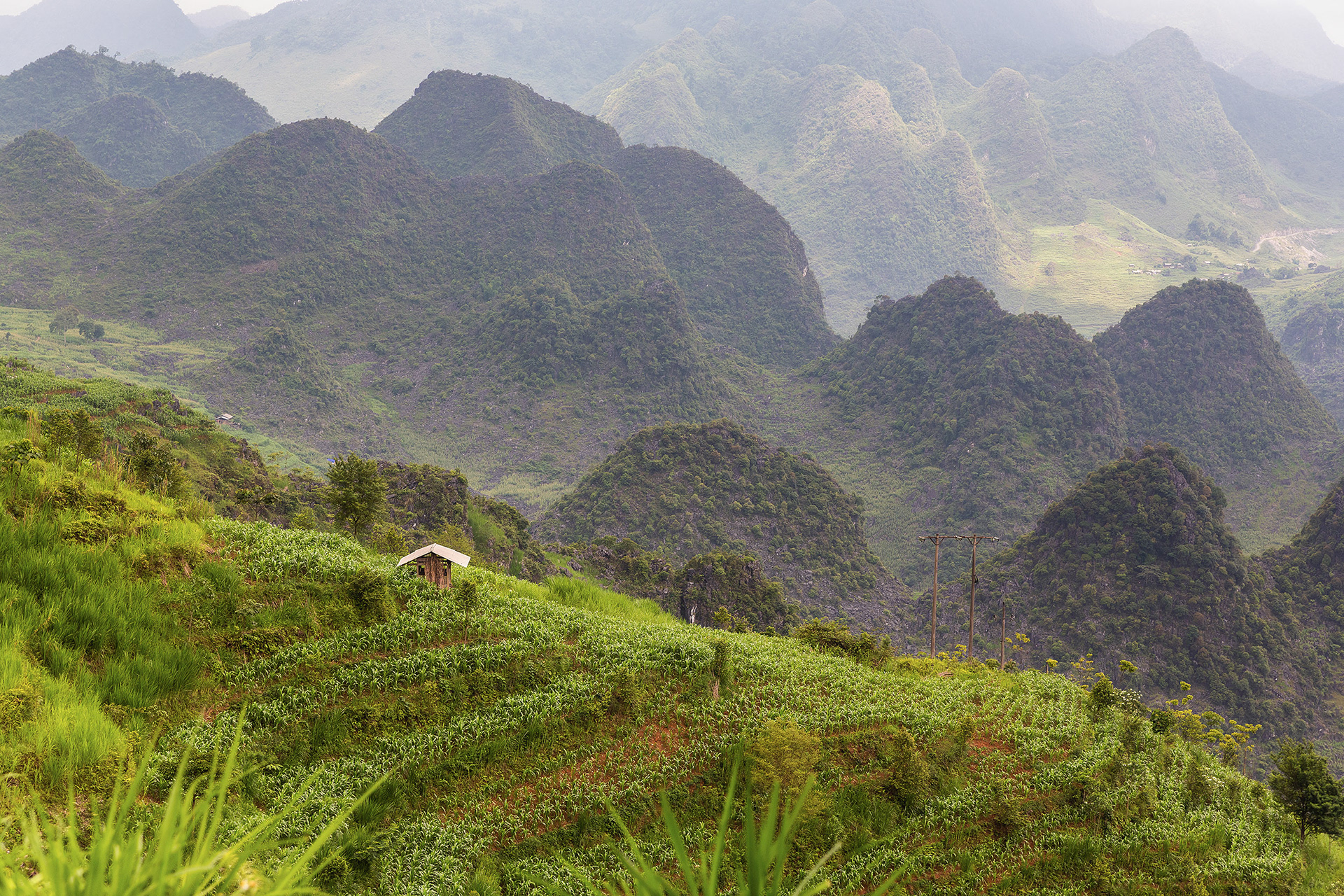 Hillside farm, Ha Giang, Vietnam {052718_HaGiang_726}
