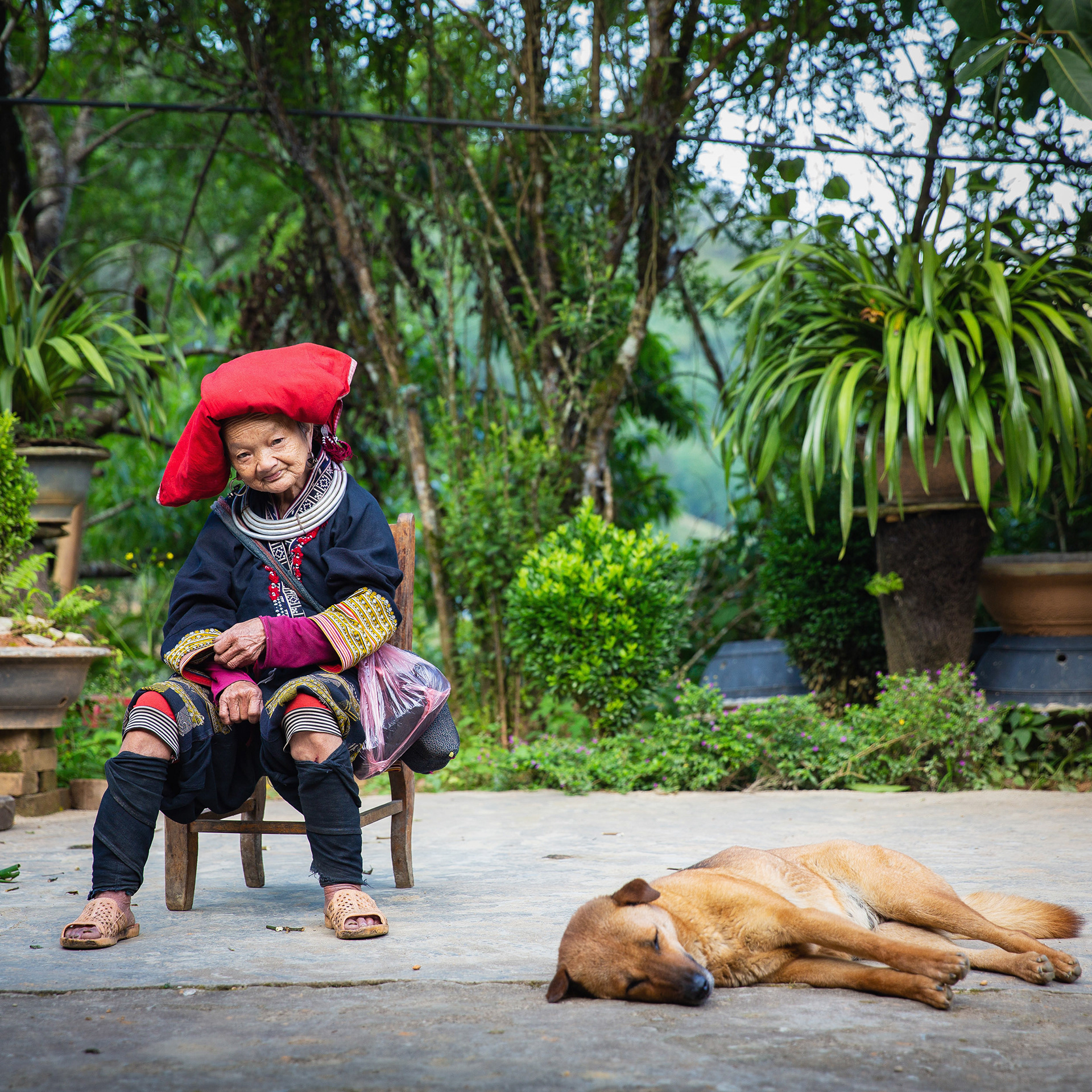Dao woman and her dog in Sa Pa, Vietnam {051618_Sapa_228}