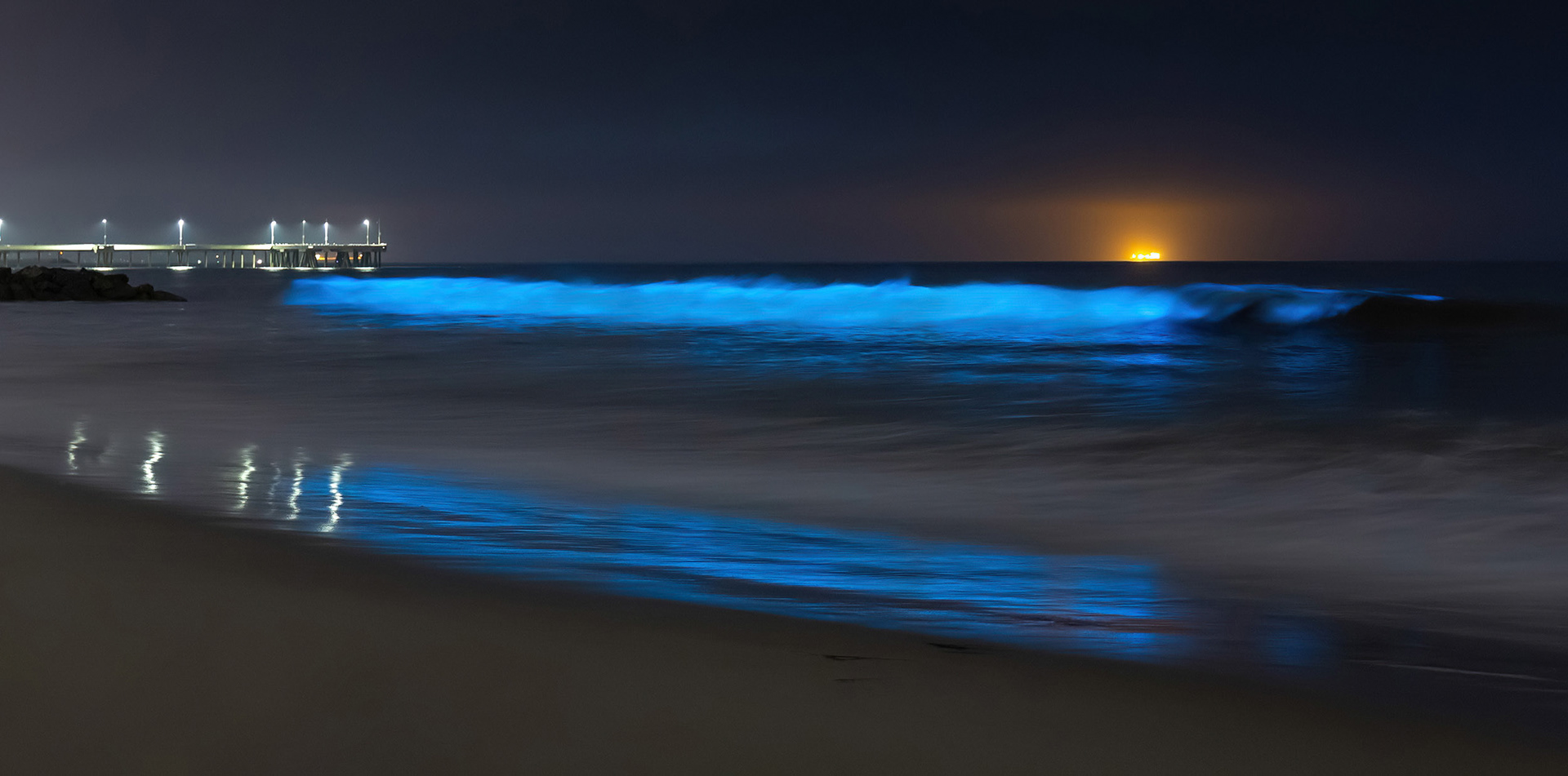 Bioluminescent waves, pier and glowing oil tanker, Venice Beach, CA {050820_VB}