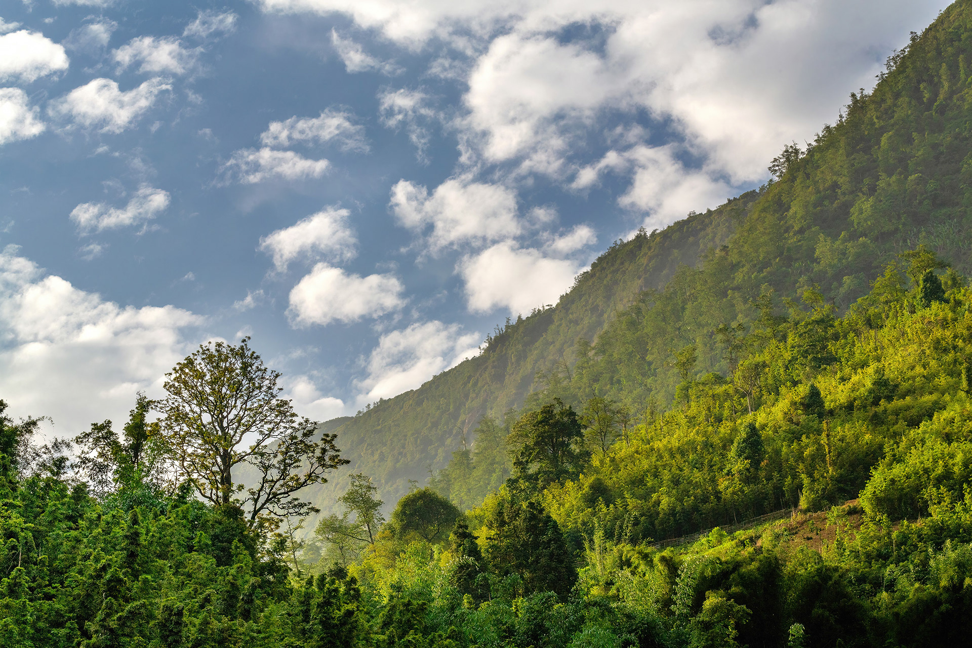 Mountain landscape in Sa Pa, Vietnam {051618_Sapa_517}