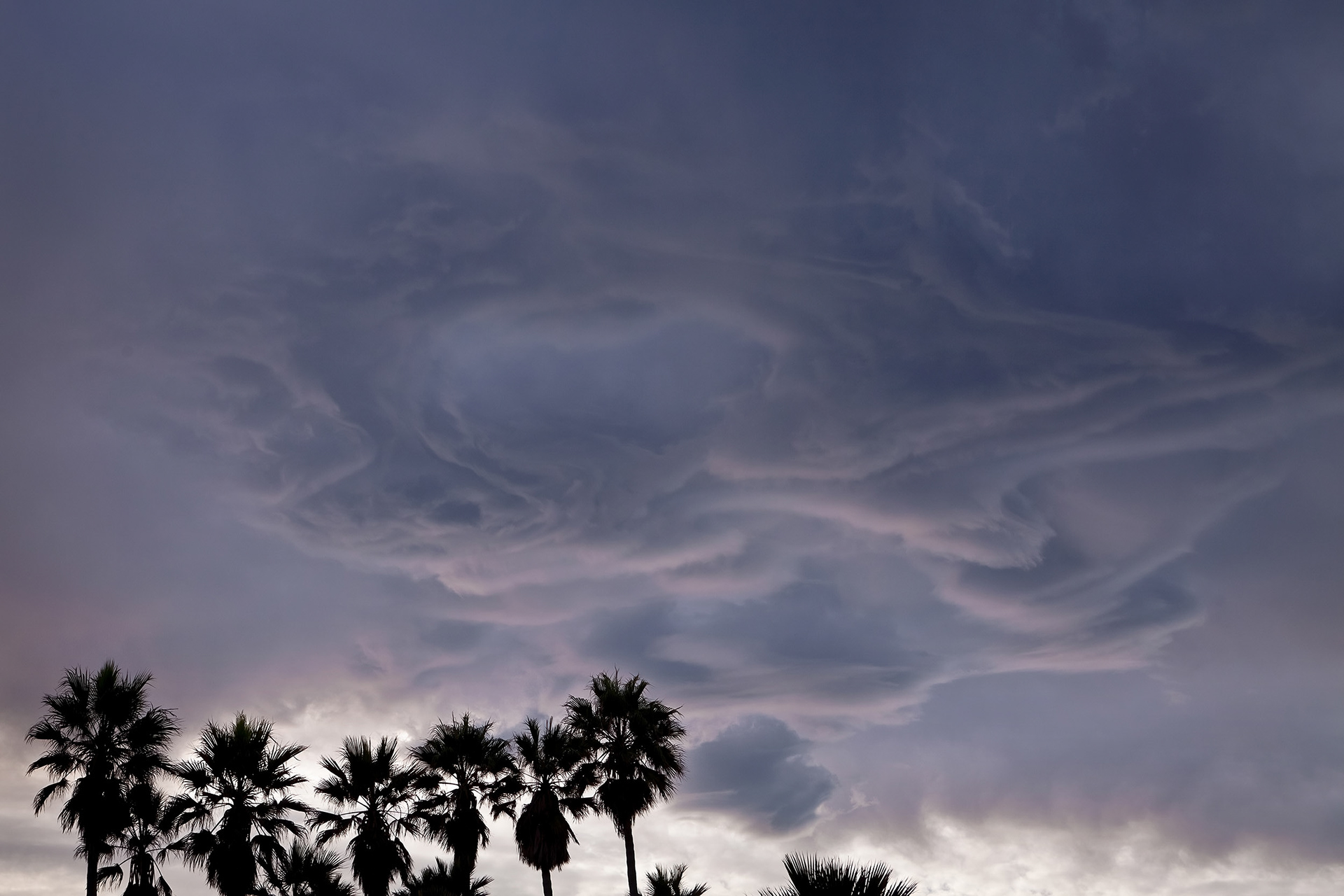 Mammatus clouds above palm trees, Venice Beach, CA {093011_Venice_001}