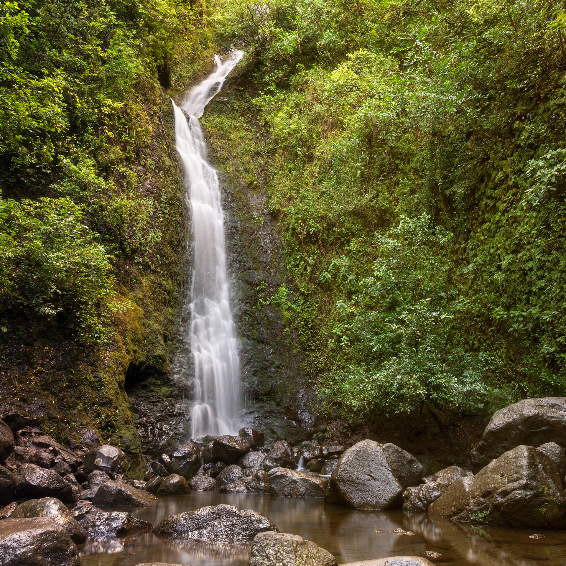 Tropical waterfall in Oahu, Hawaii {110817_Oahu_44}