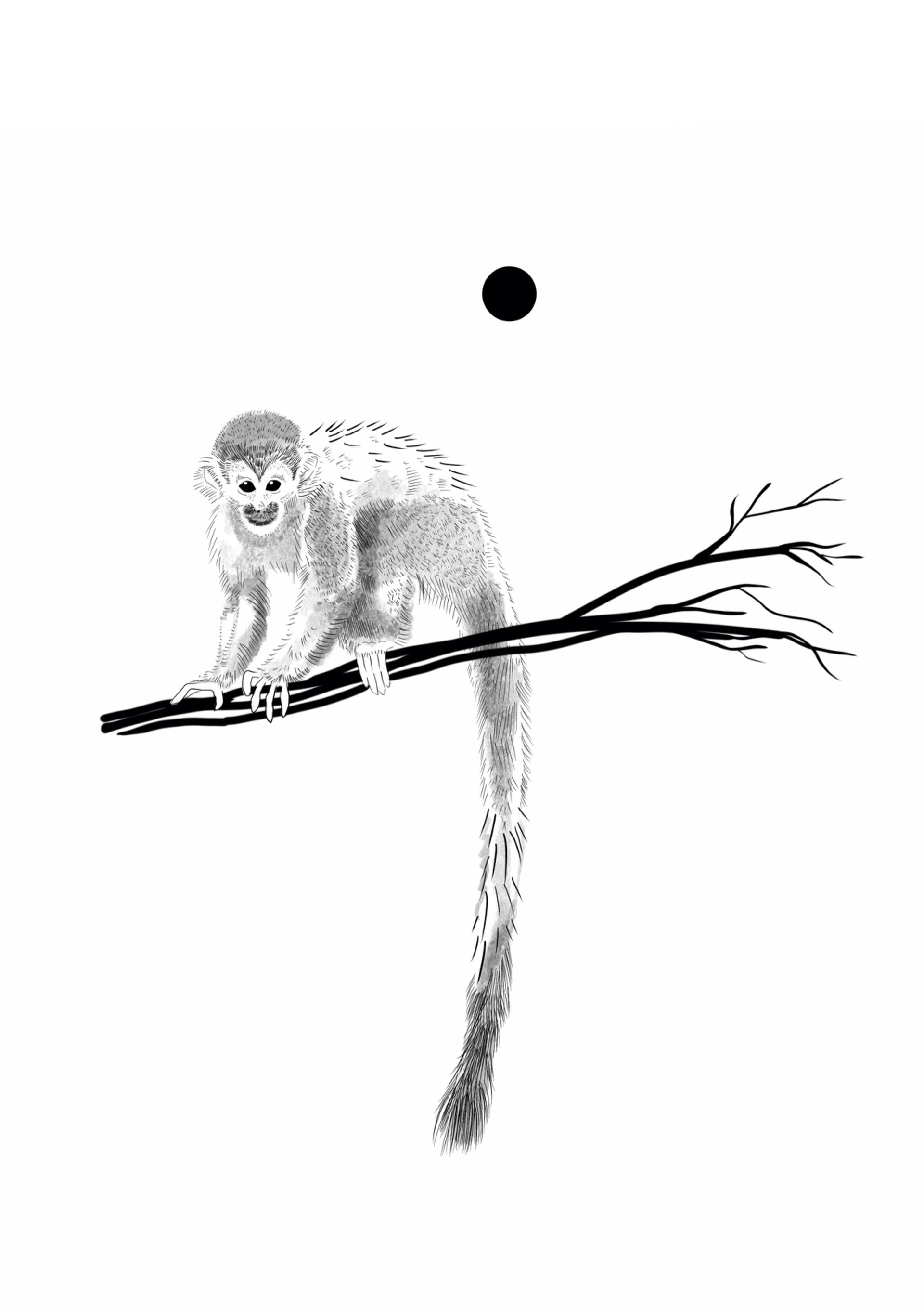 monkey 13 cm